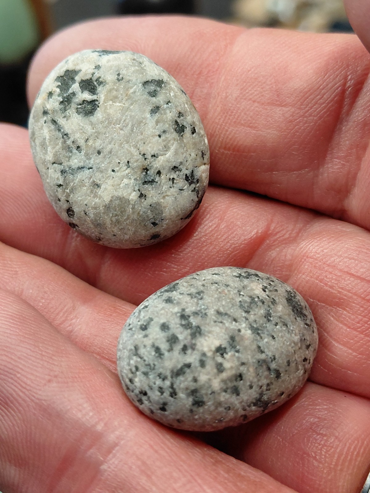Yooperlite-Special-Rough tumbled/rounded only, not polished.