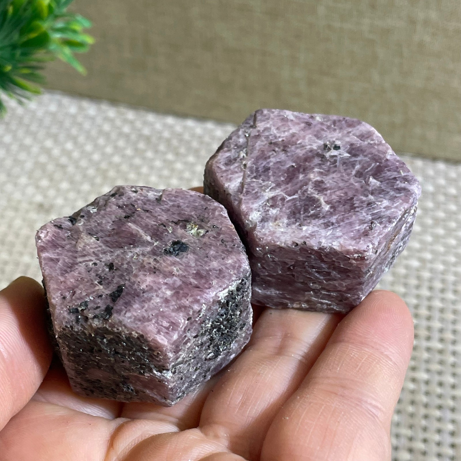 170g Red Corundum Ruby Rough Mineral Specimen reiki Healing 2pcs