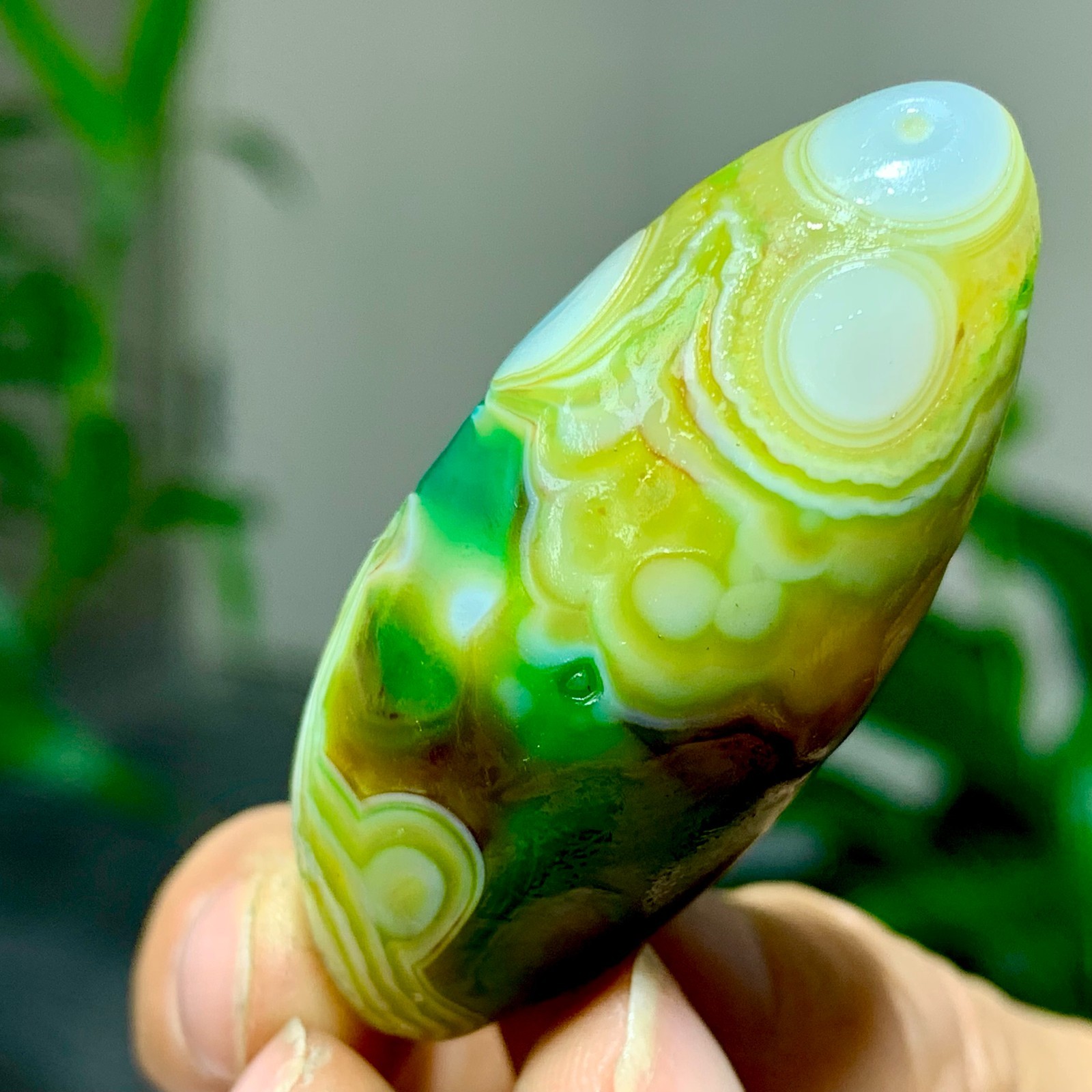 28G Natural green gobi agate eye crystal Circular pattern mineral healing B205