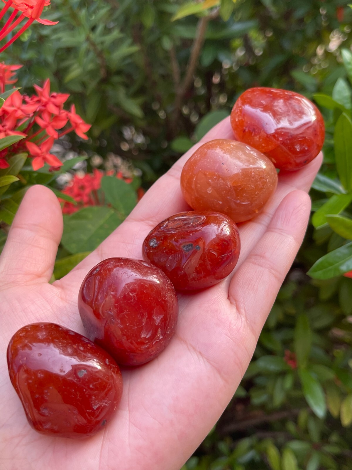 Carnelian Pebble, 1.5-2 Inch Large Tumbled Carnelian Stones, Pick How Many