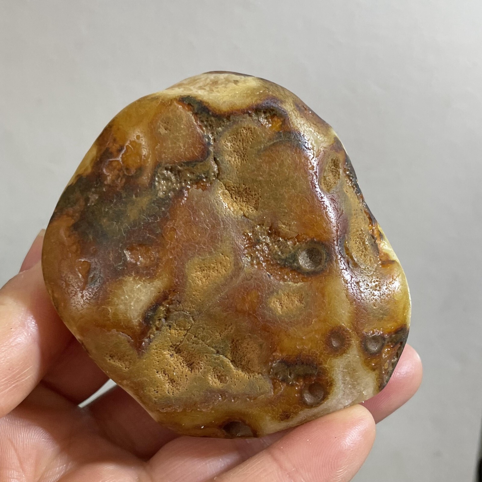 205g Bonsai Suiseki- Gobi Agate Eyes Stone-Rare Stunning Viewing