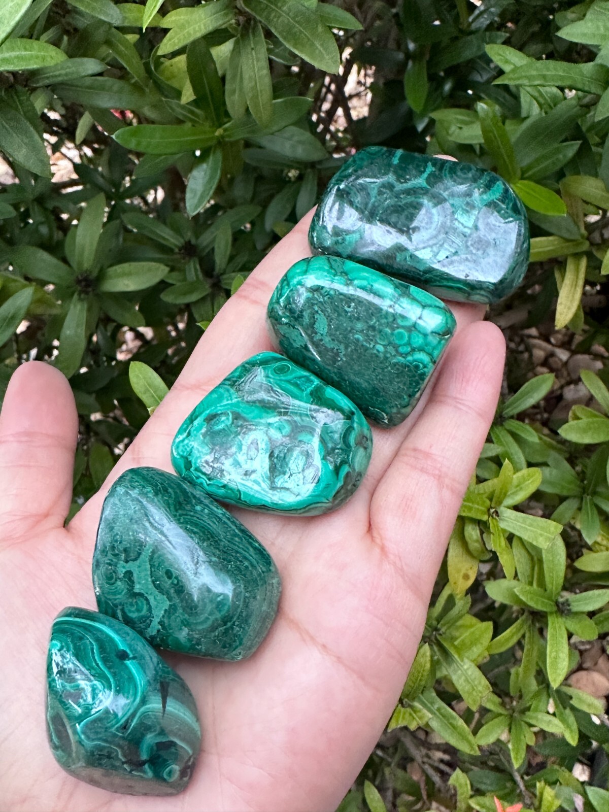 Grade A++ Malachite Pebble, 1.25-1.75 Inch Large Tumbled Malachite Stones