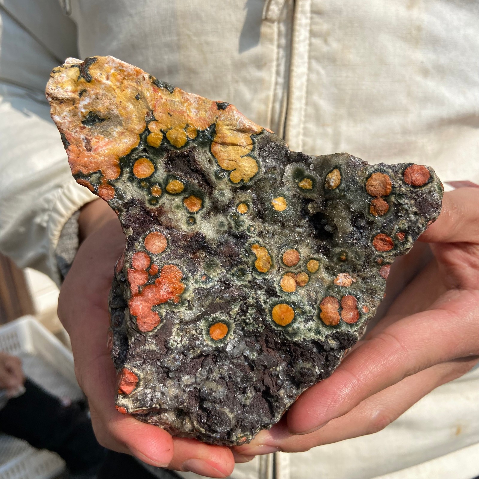 2.2lb Natural colourful ocean jasper raw stone crystal rough mineral specimen