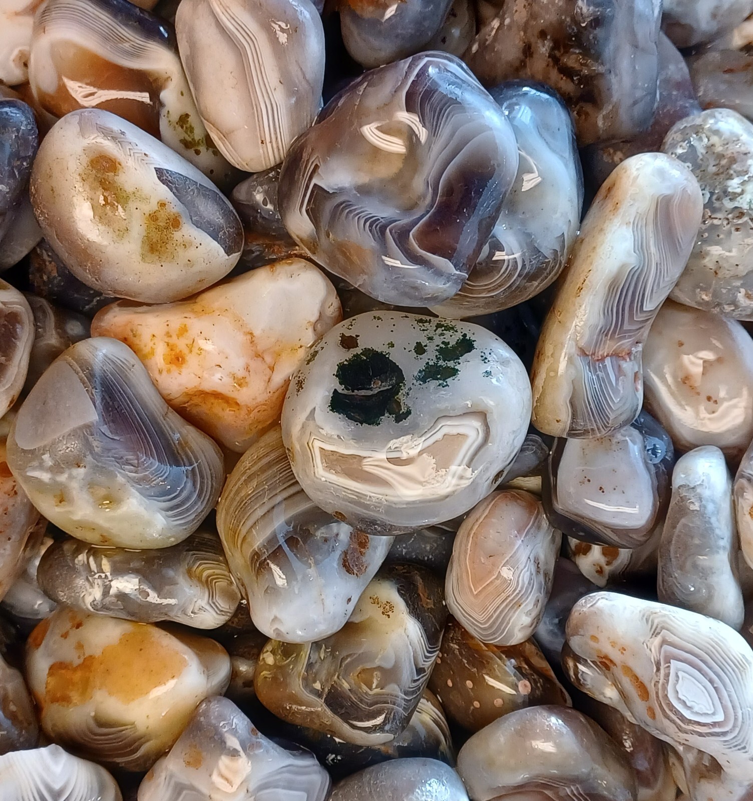 Botswana Agate rough 1-2″ A+ pound lbs tumbling lapidary banding wholesale bulk