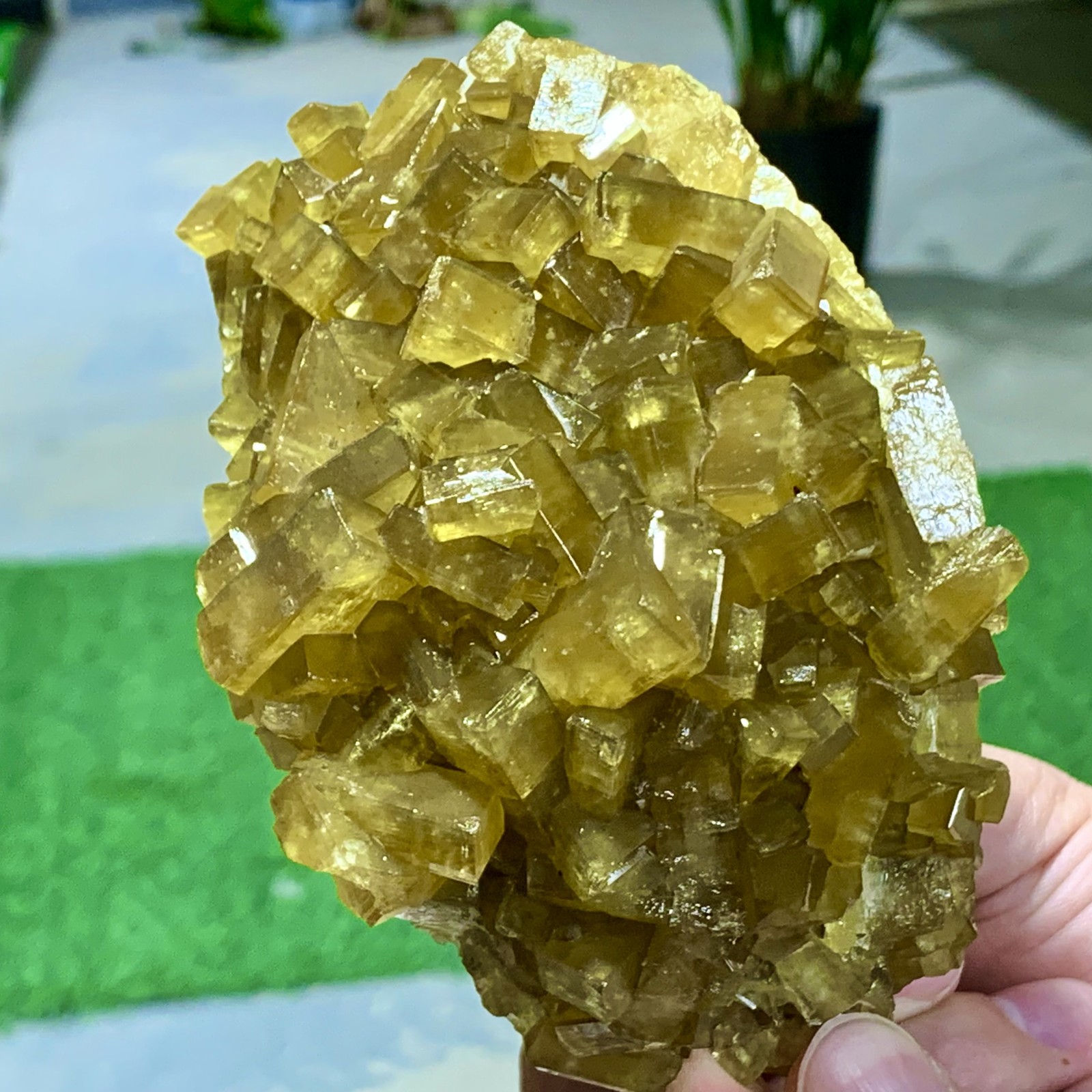 1.87LB Shiny Golden Cuboid Barite Crystal Based on the Purple Spherical Fluorite