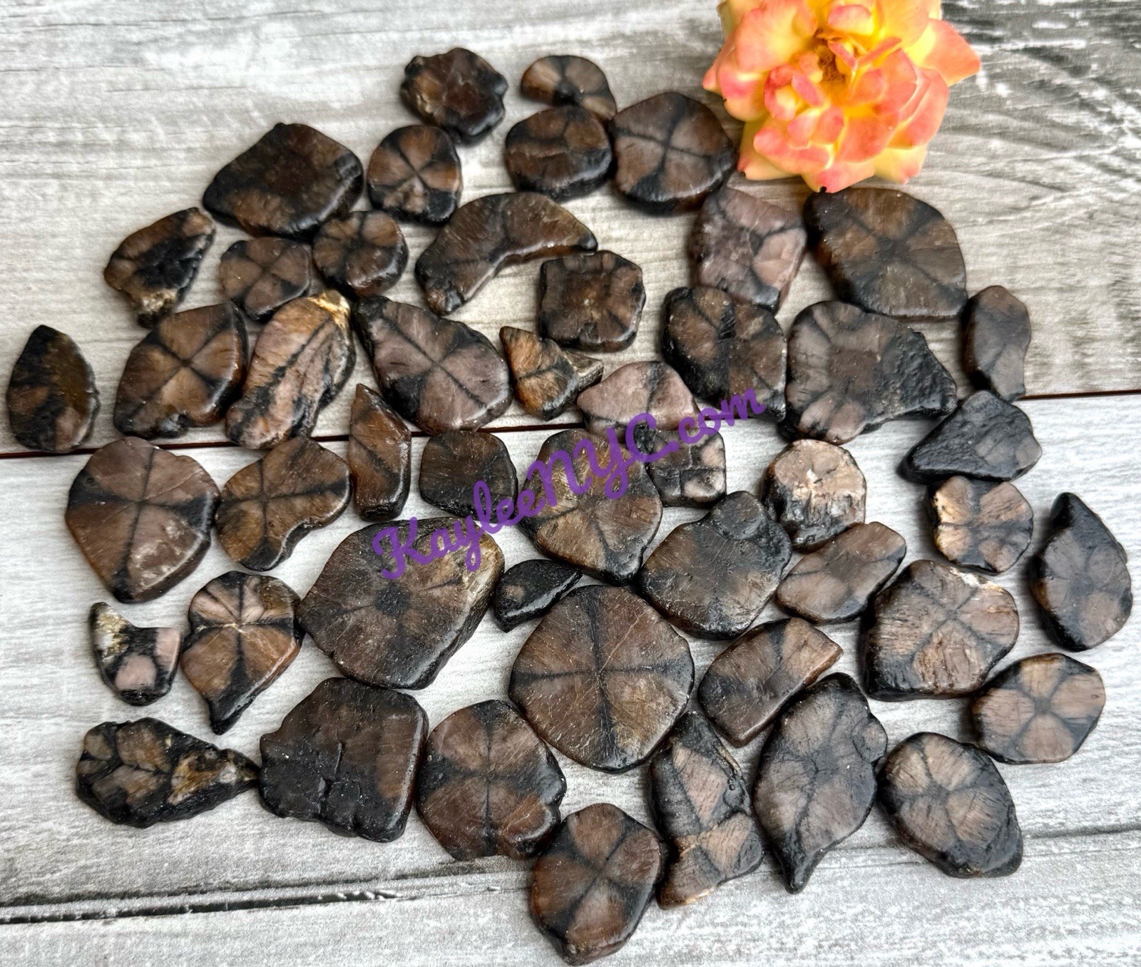 Wholesale Lot 1 Lb Natural Chiastolite Tumble Stone Healing