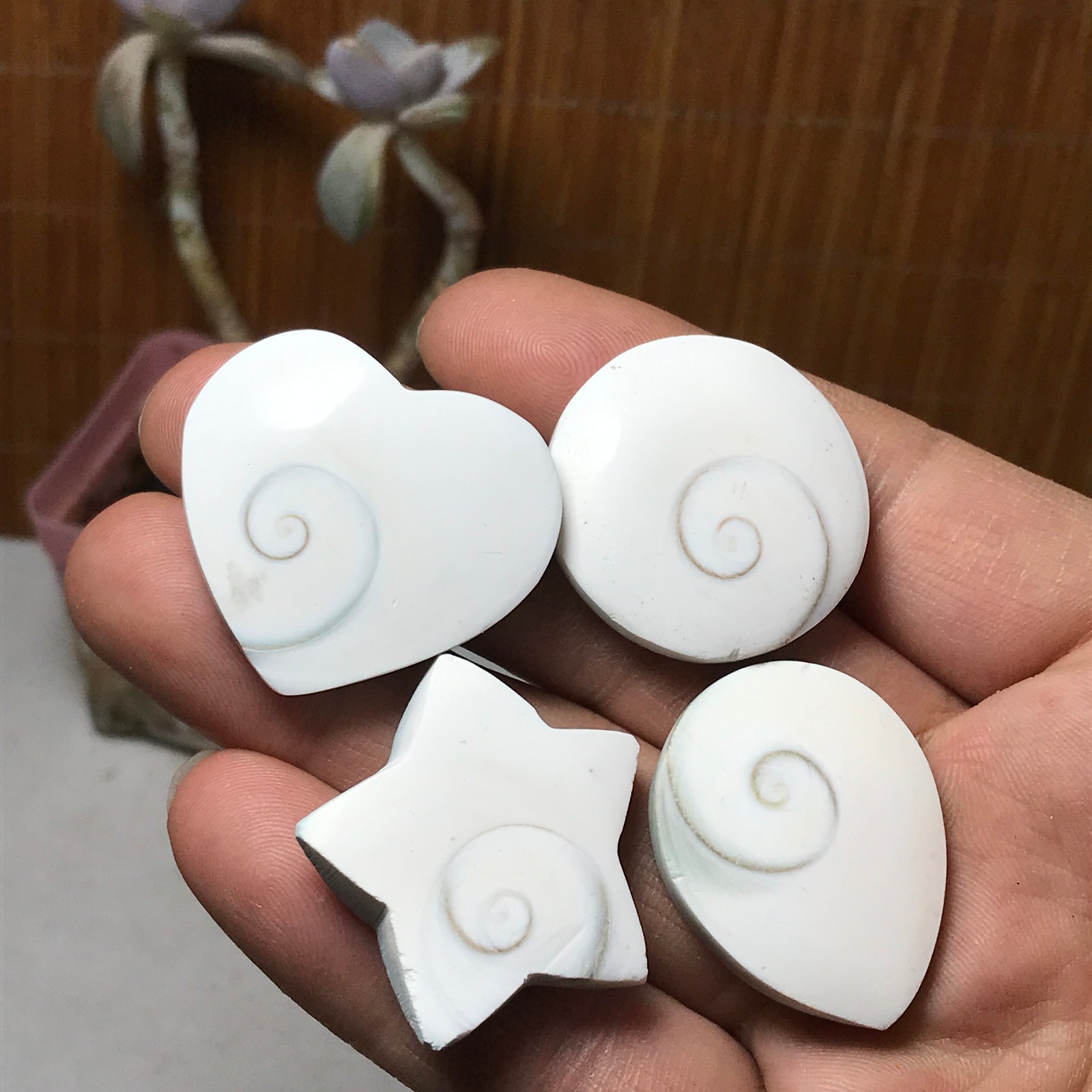 4Pcs Natural sun shell star Heart Reiki Shiva Eye ocean quartz carve A3340