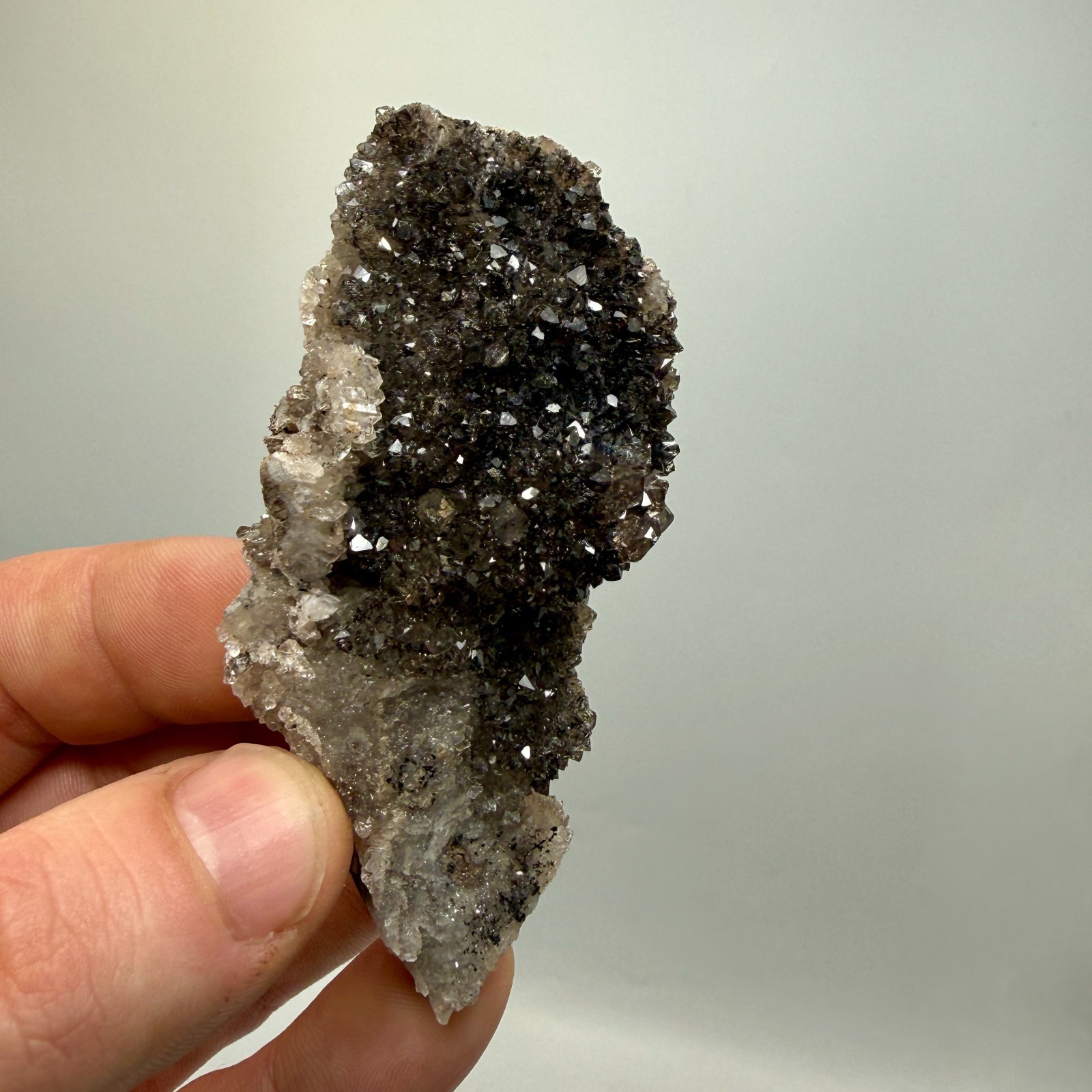 Black Druze with Hydrocarbon Phantom Percher Herkimer Diamonds, Rare Matrix!