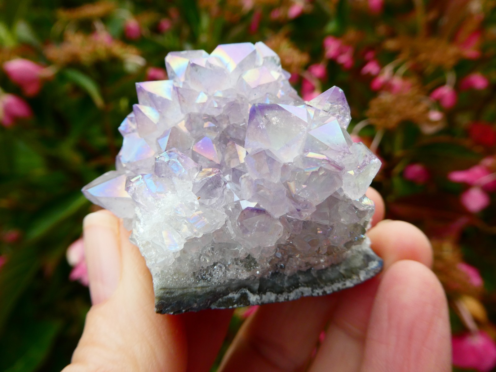 Aura Amethyst Crystal Cluster Multi Points Uruguay & Amethyst Cluster Bed Brazil
