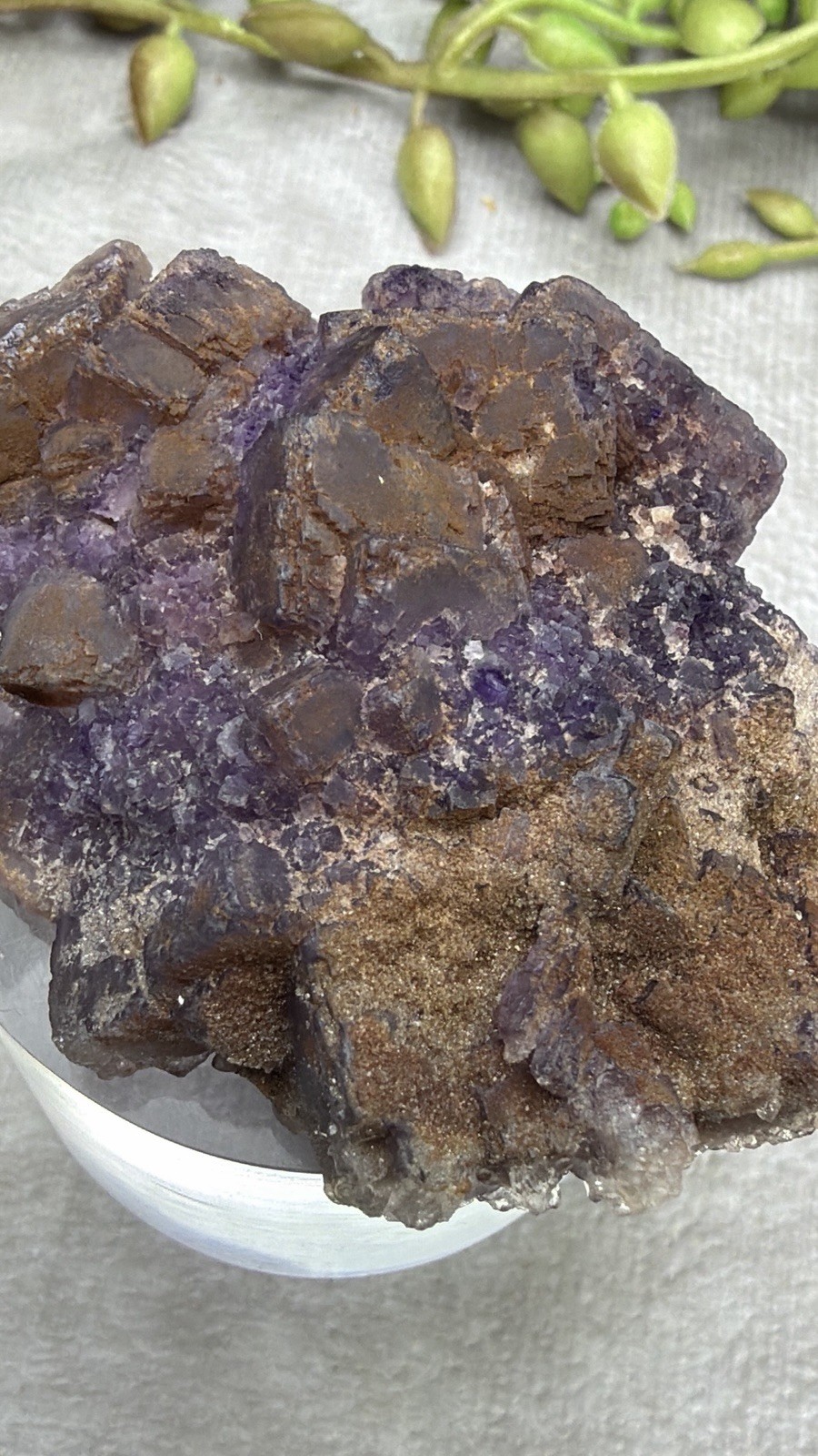 Crystal 58g Natural Coated Purple Window Cube Fluorite Specimen Mineral