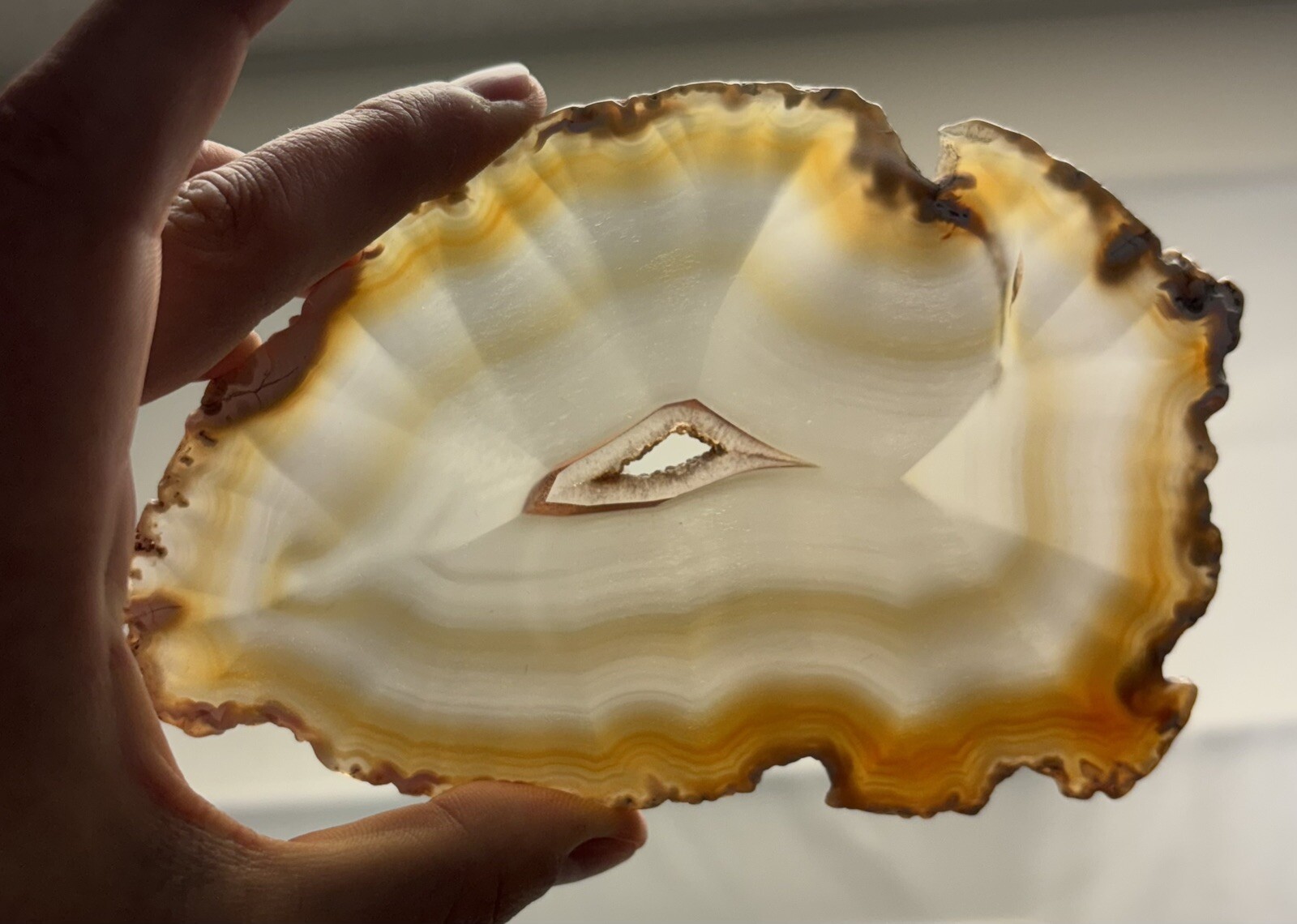 Natural Agate Slice Translucent Brazil Gold Yellow Clear Quartz