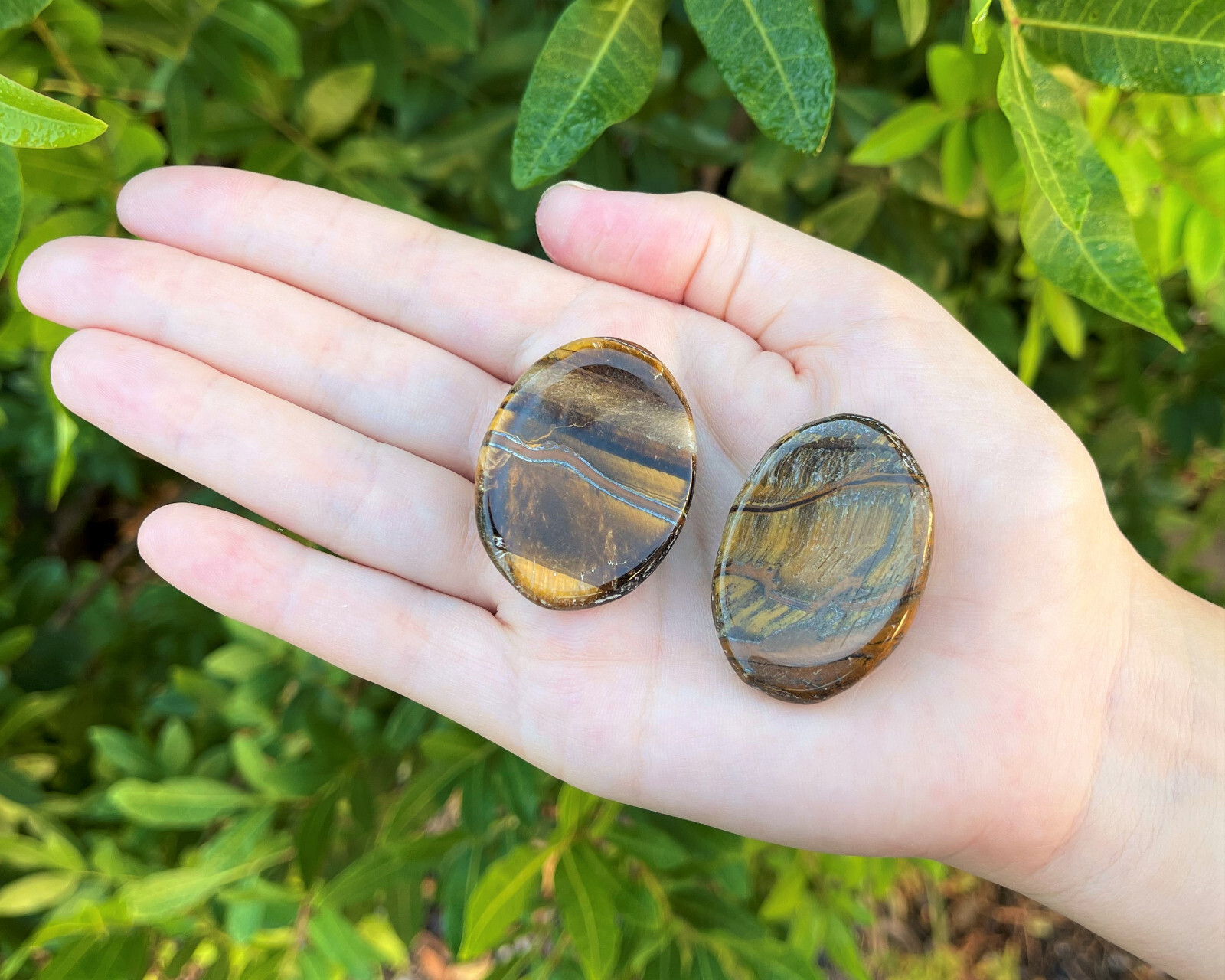 Gold Tiger Eye Worry Stone (Polished Gemstone, Gold Tiger Eye Pocket Palm Stone)