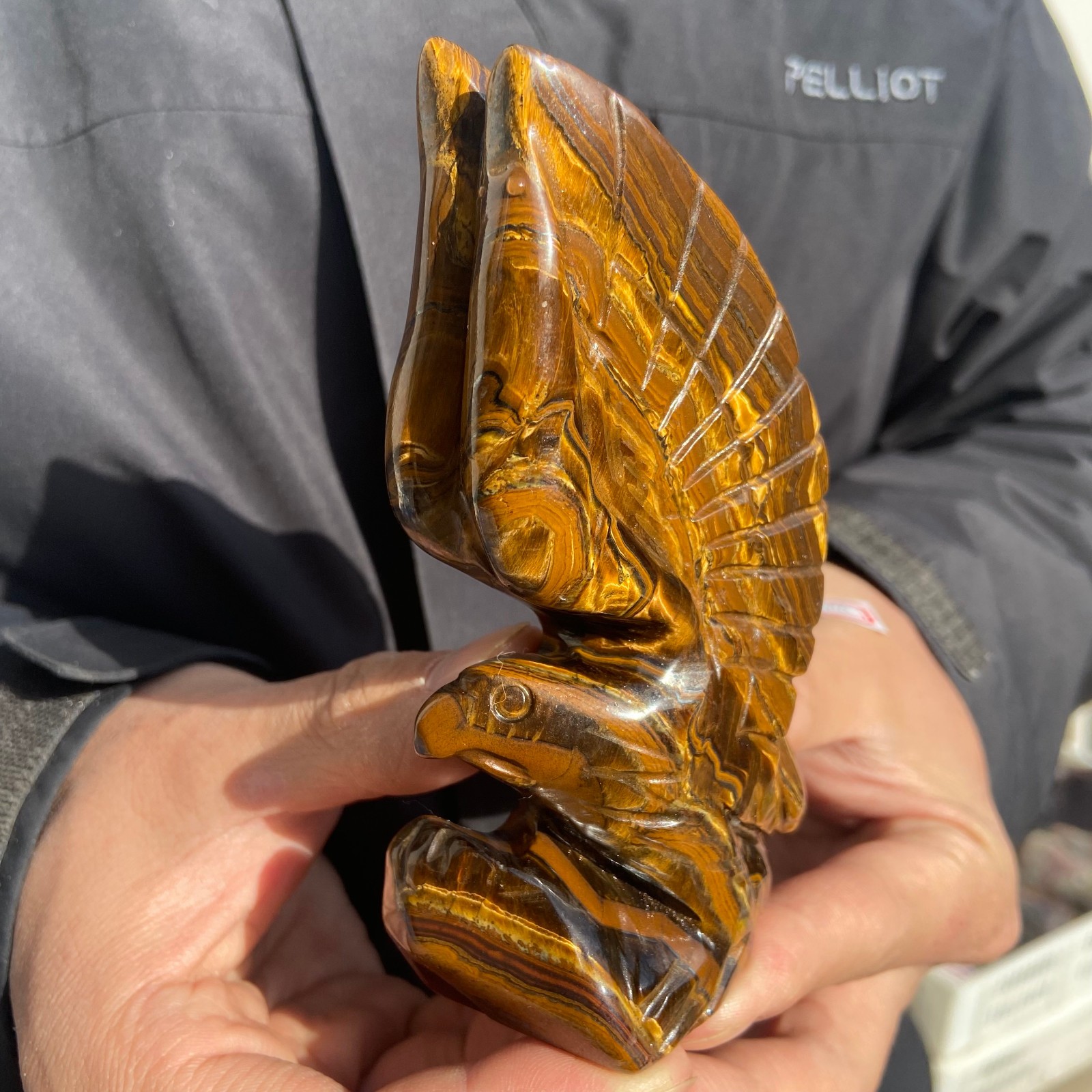 300g Natural Tiger-eye stone carved eagle-shaped quartz crystal mineral specime
