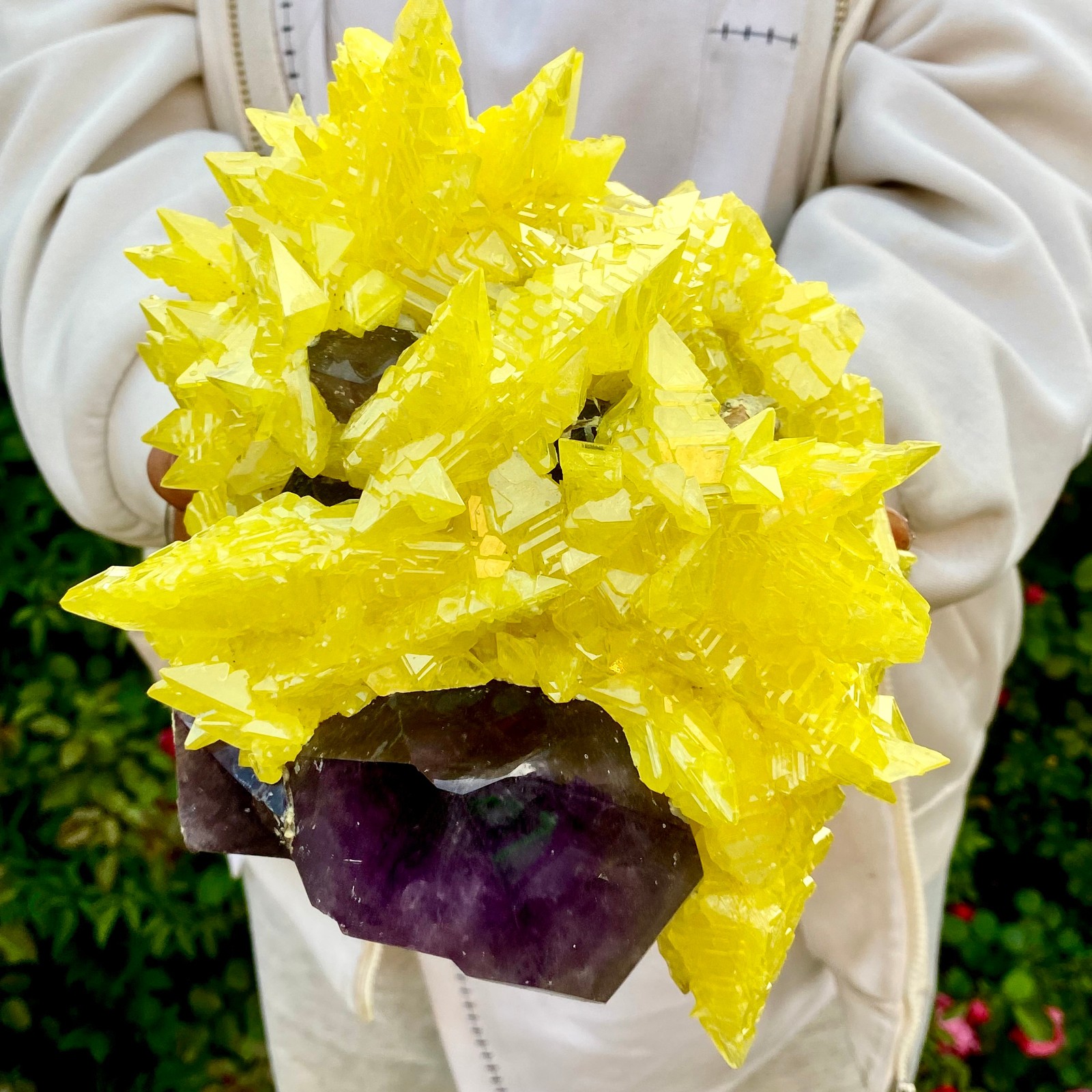 10LB Natural Amethyst & Sulphur Symbiotic Crystal Cluster Specimen