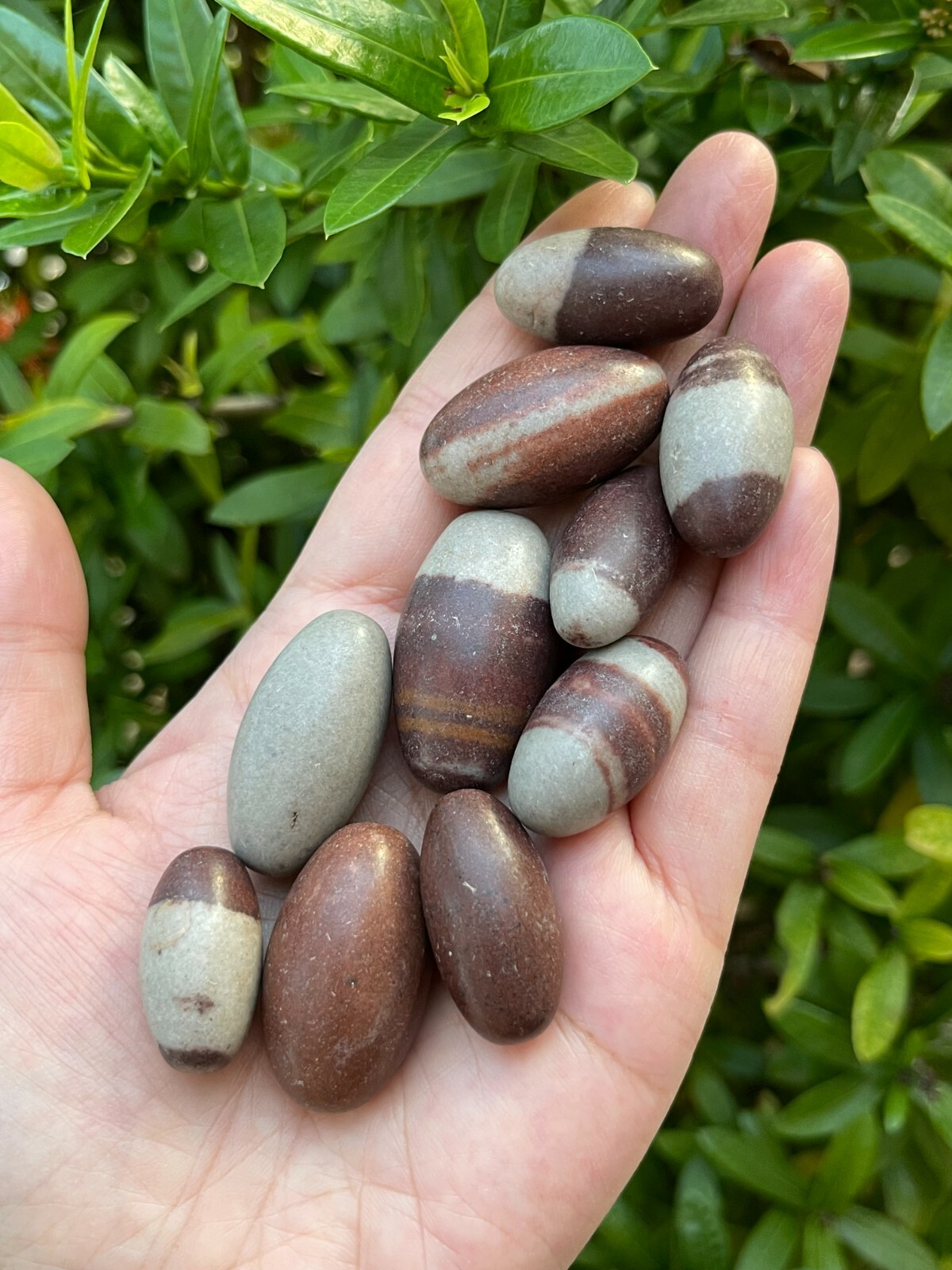 1″ Shiva Lingam Stone, Small Shiva Lingam Sacred Stones, Wholesale Bulk Lot