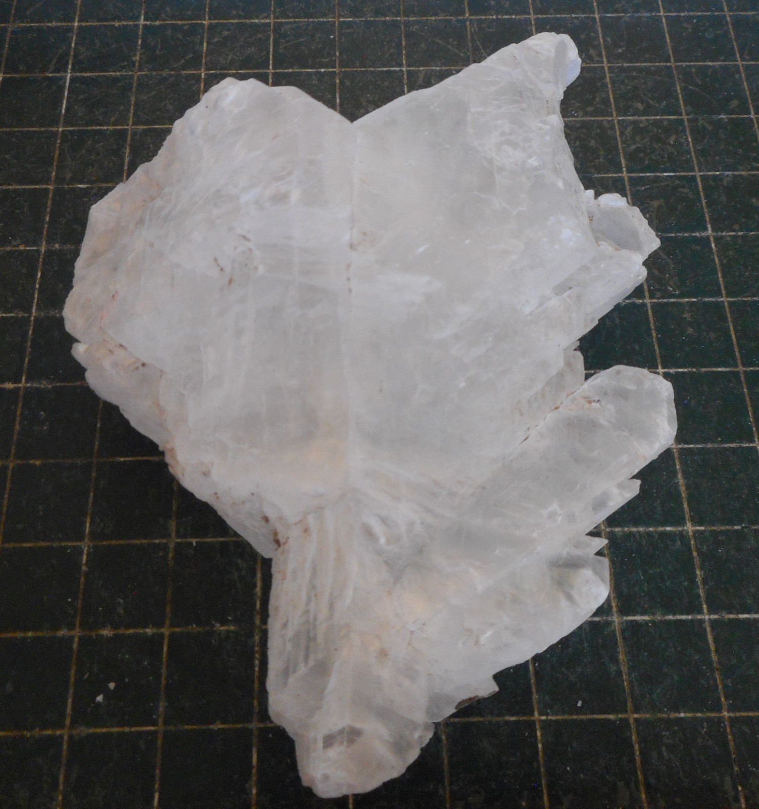 Fish Tail Selenite. Natural. Gypsum Specimen. 4.5″ (114mm). 295 grams