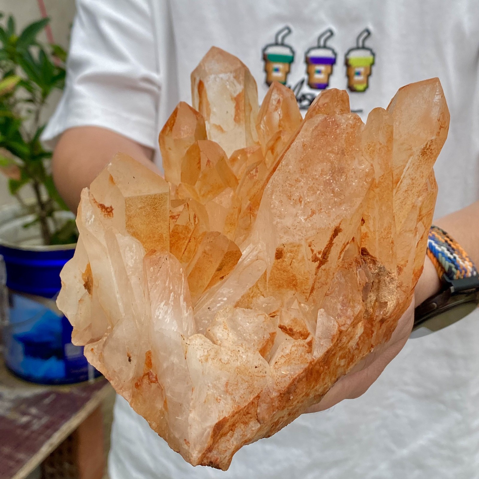 3.65LB Natural Clear Beautiful White QUARTZ Crystal Cluster Specimen Healing