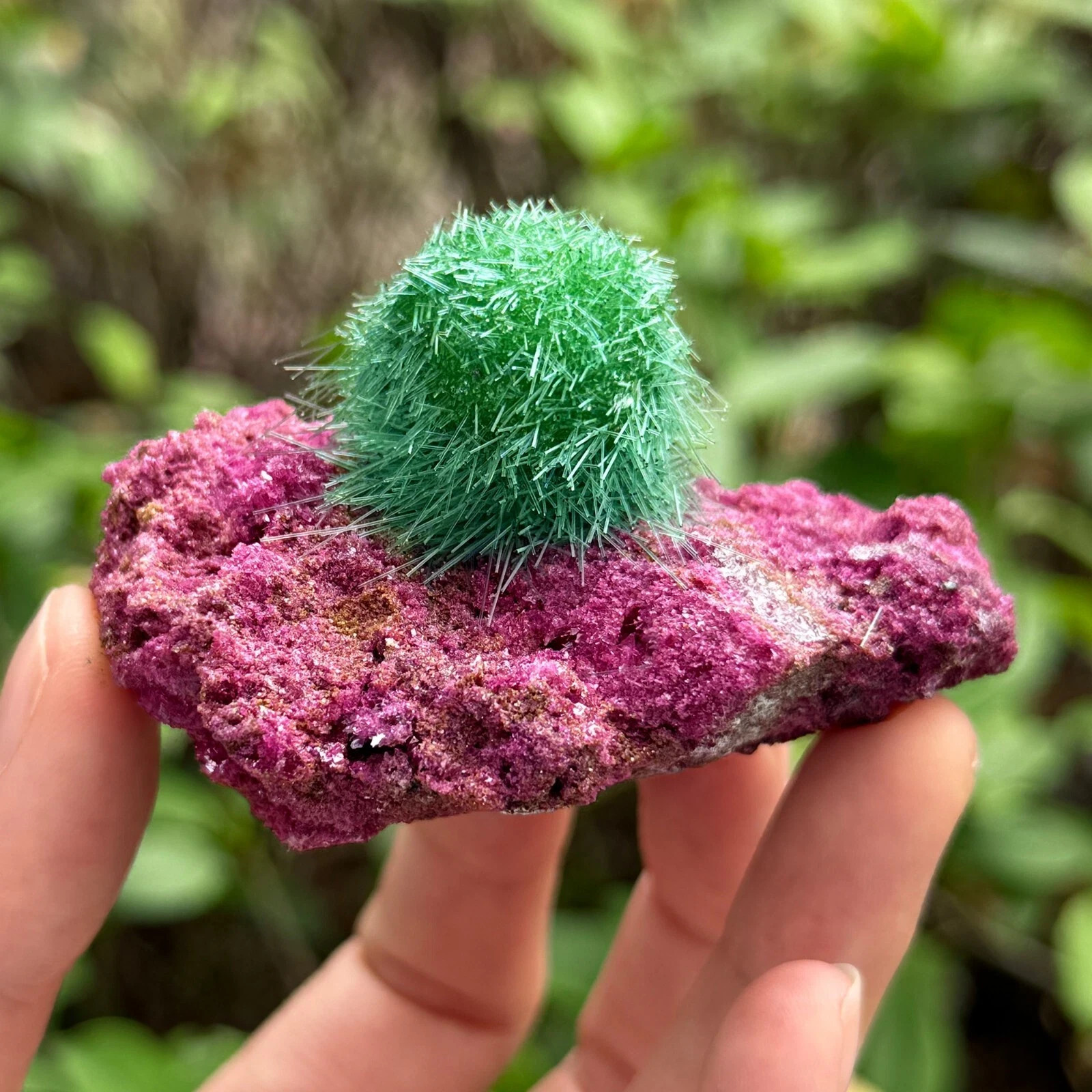 Raw Indian Dandelion Zeolite Quartz Rare Mineral Rock Specimen Gift 50-80G