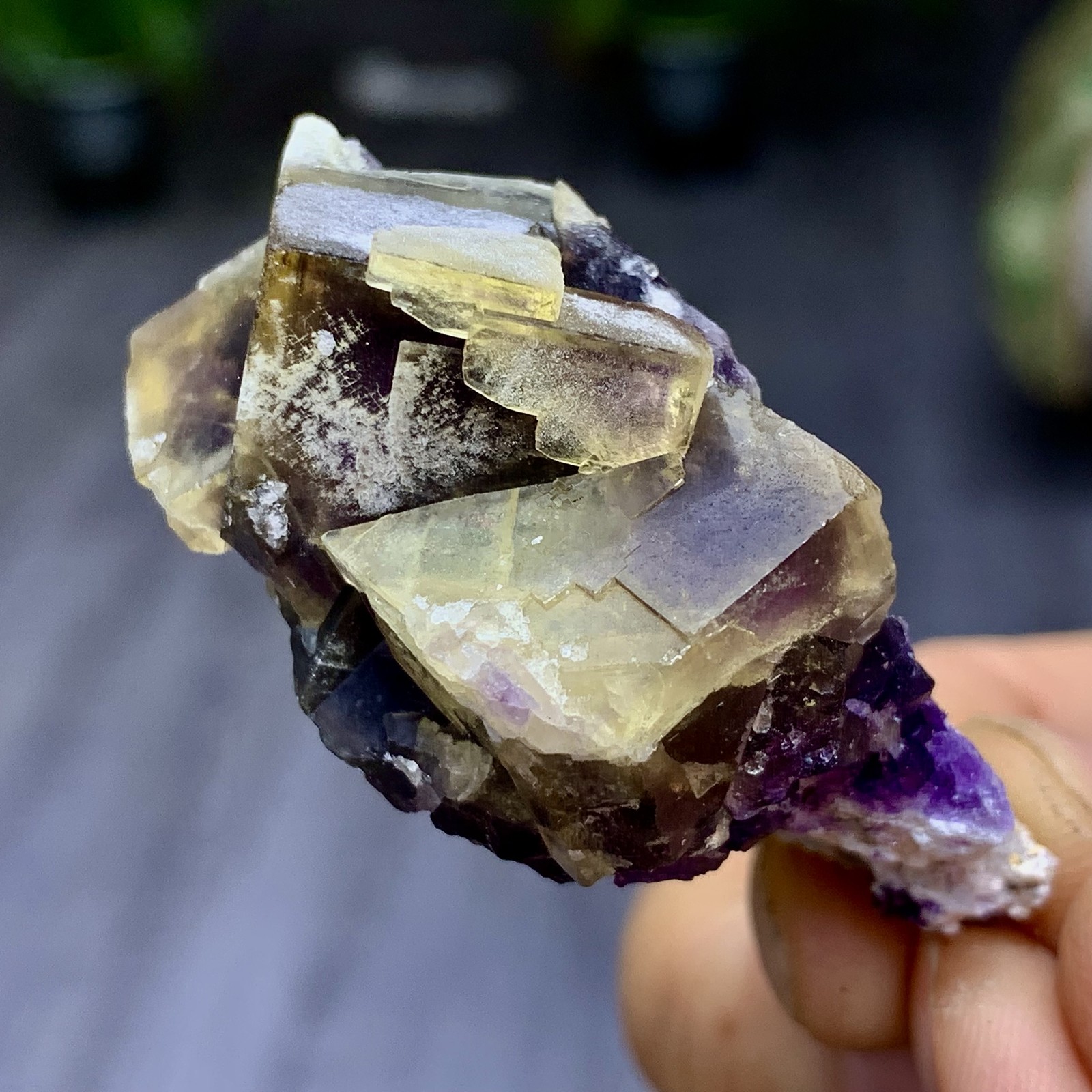 48G Rare transparent purple cubic fluorite mineral crystal sample/China