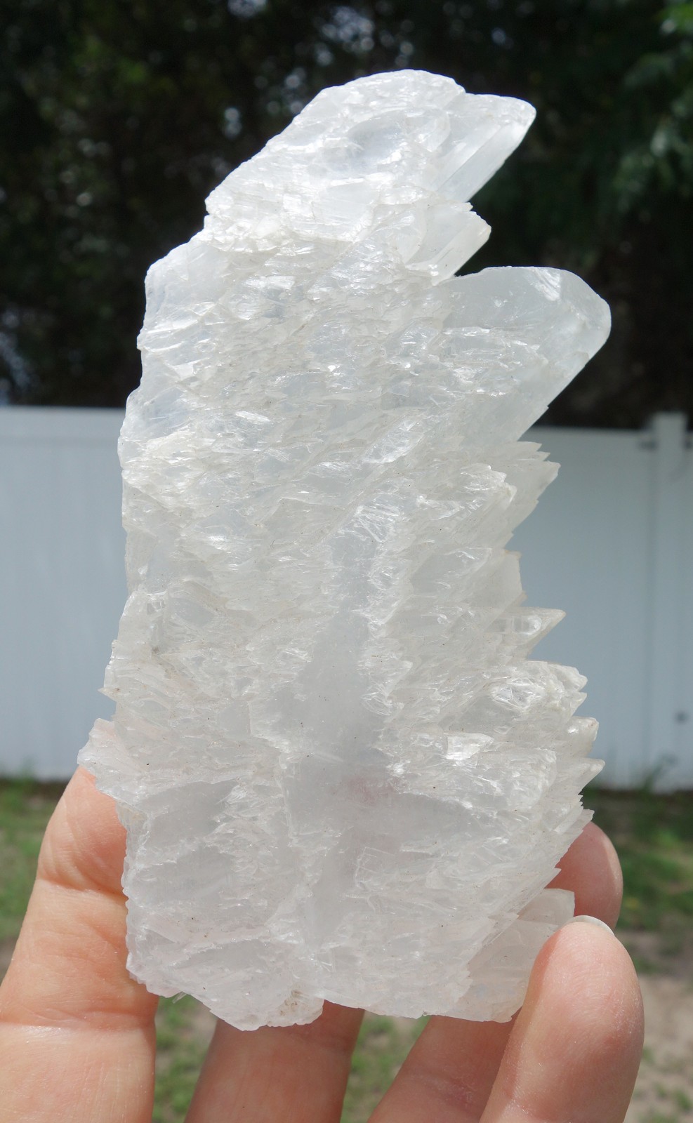 Shiny Large FISHTAIL SELENITE Natural Crystal Point from Naica Mexico For Sale