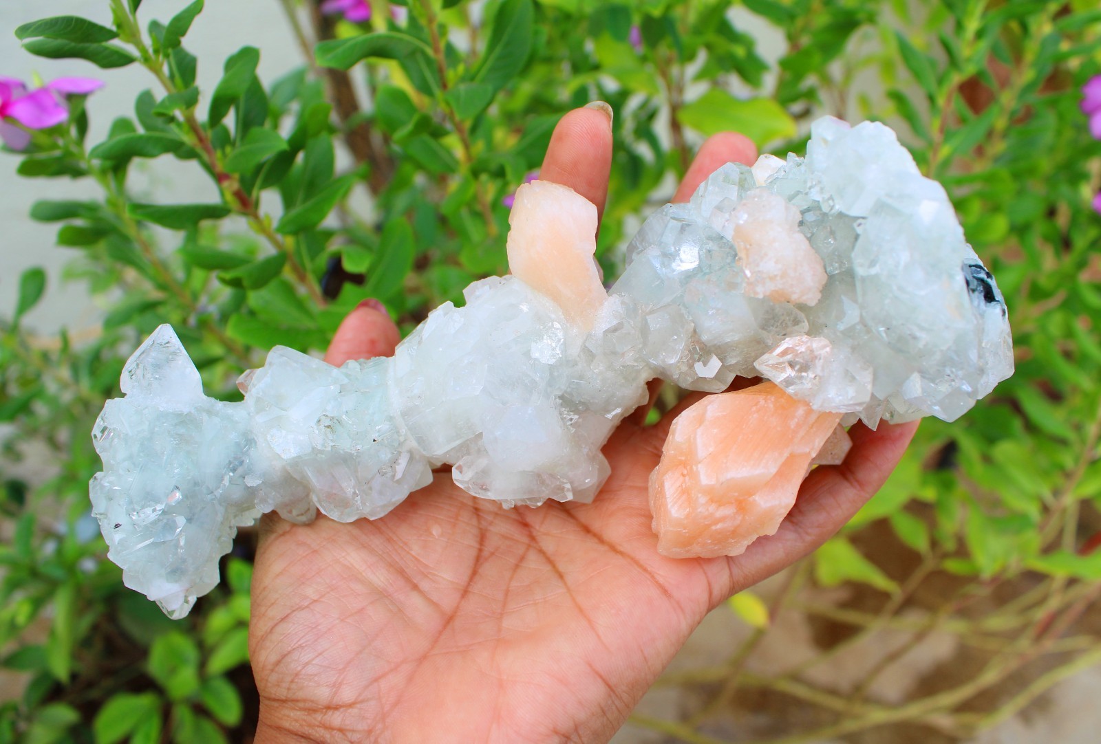 Apophyllite Crystals w/ Stilbite Formation Minerals Specimen ( 20×7 ) REPAIR