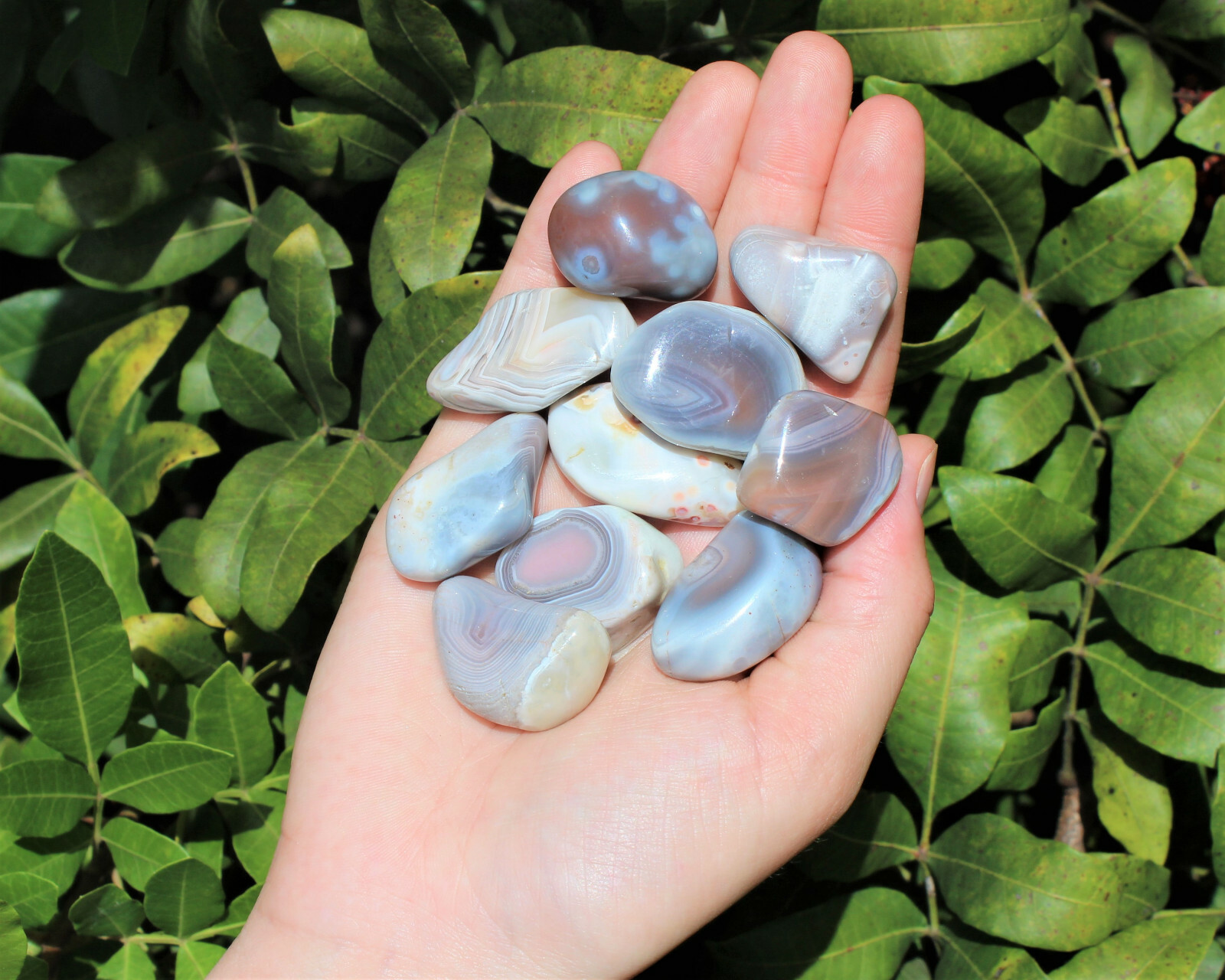 Pink Botswana Agate Tumbled Stones: Choose How Many (Tumbled Botswana Agate)
