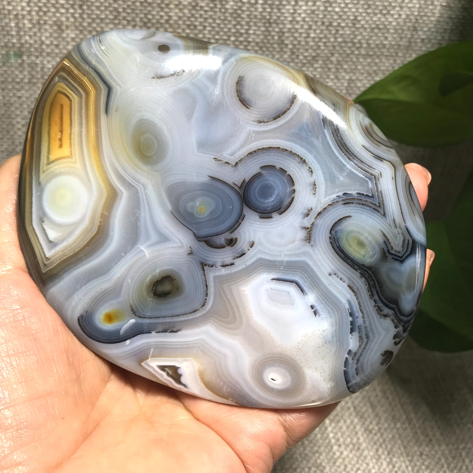 376g Natural Aquatic Plants Agate Ink landscape painting ornament Madagascar 23