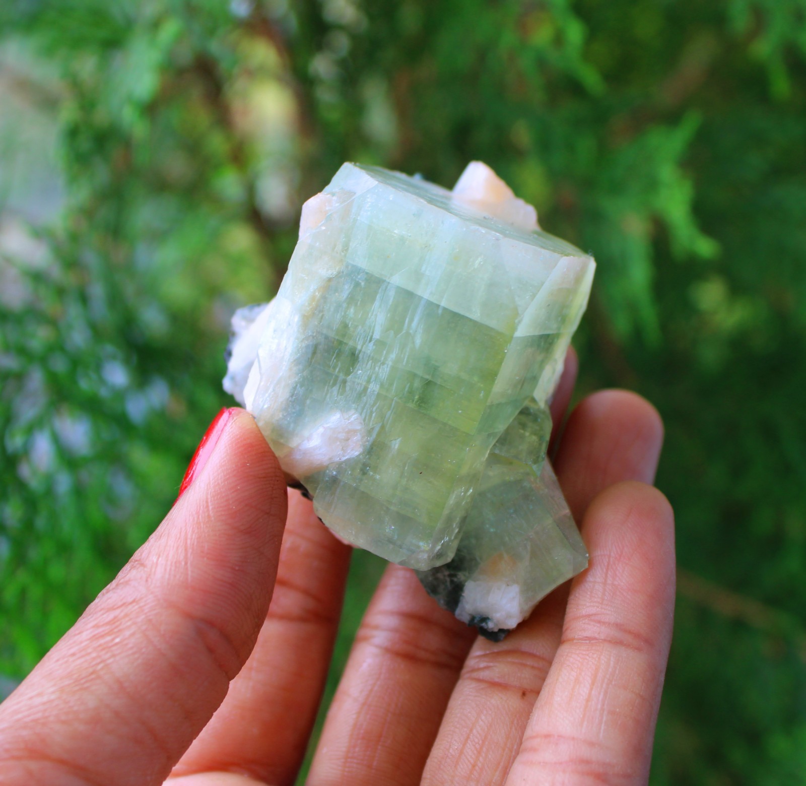 GREEN APOPHYLLITE CRYSTALS MINERALS SPECIMEN