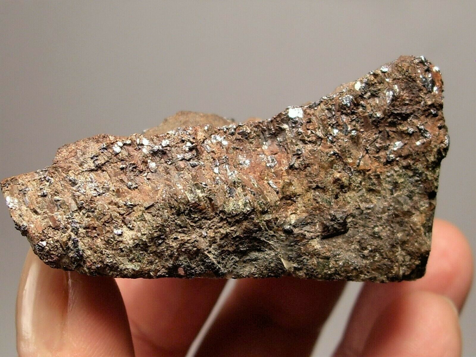 Shiny Molybdenite Sprinkles on Unknown Host Rock 79.5g