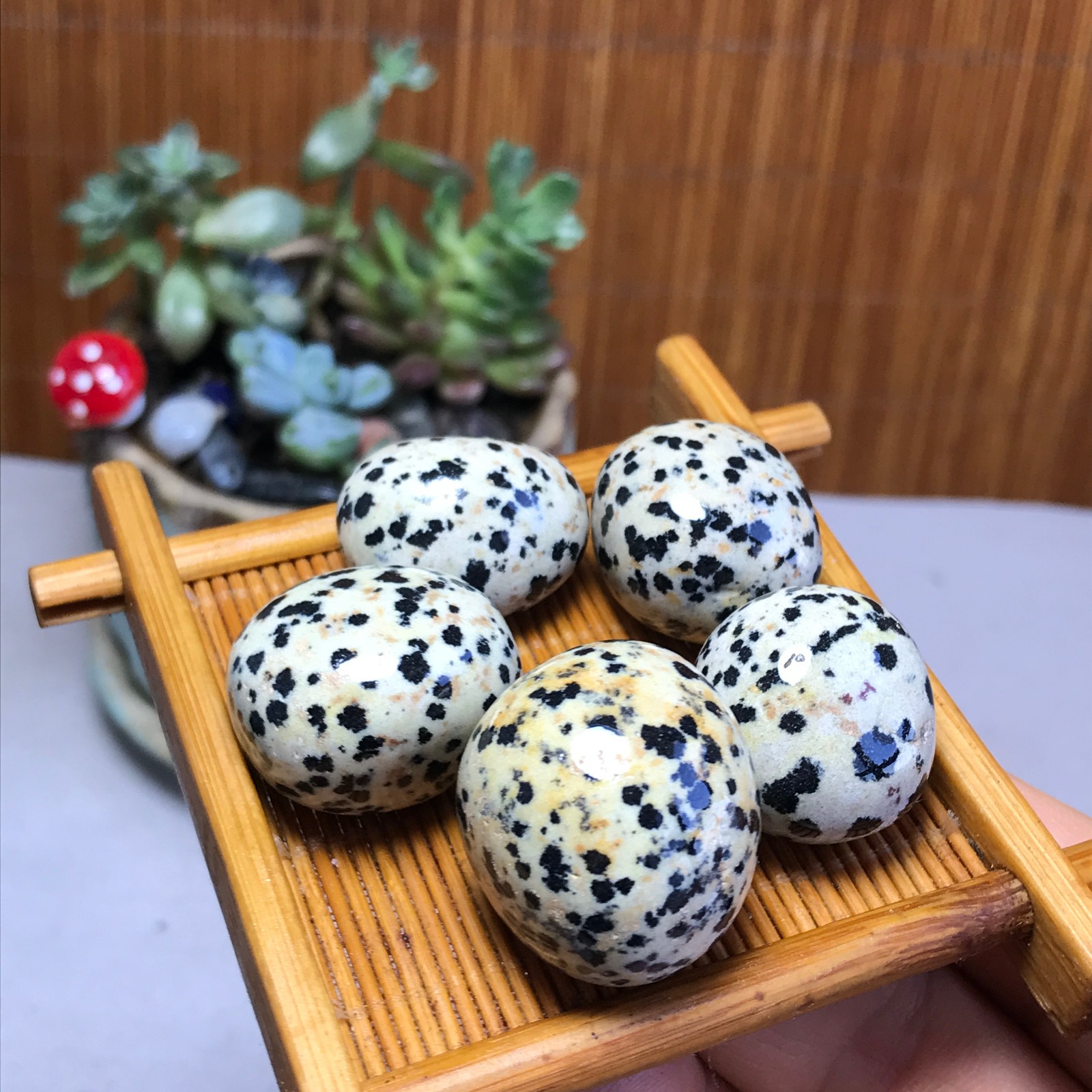 24-24-18mm 5Pcs Natural spotted stone Crystal gemstone Mineral Specimen A5717