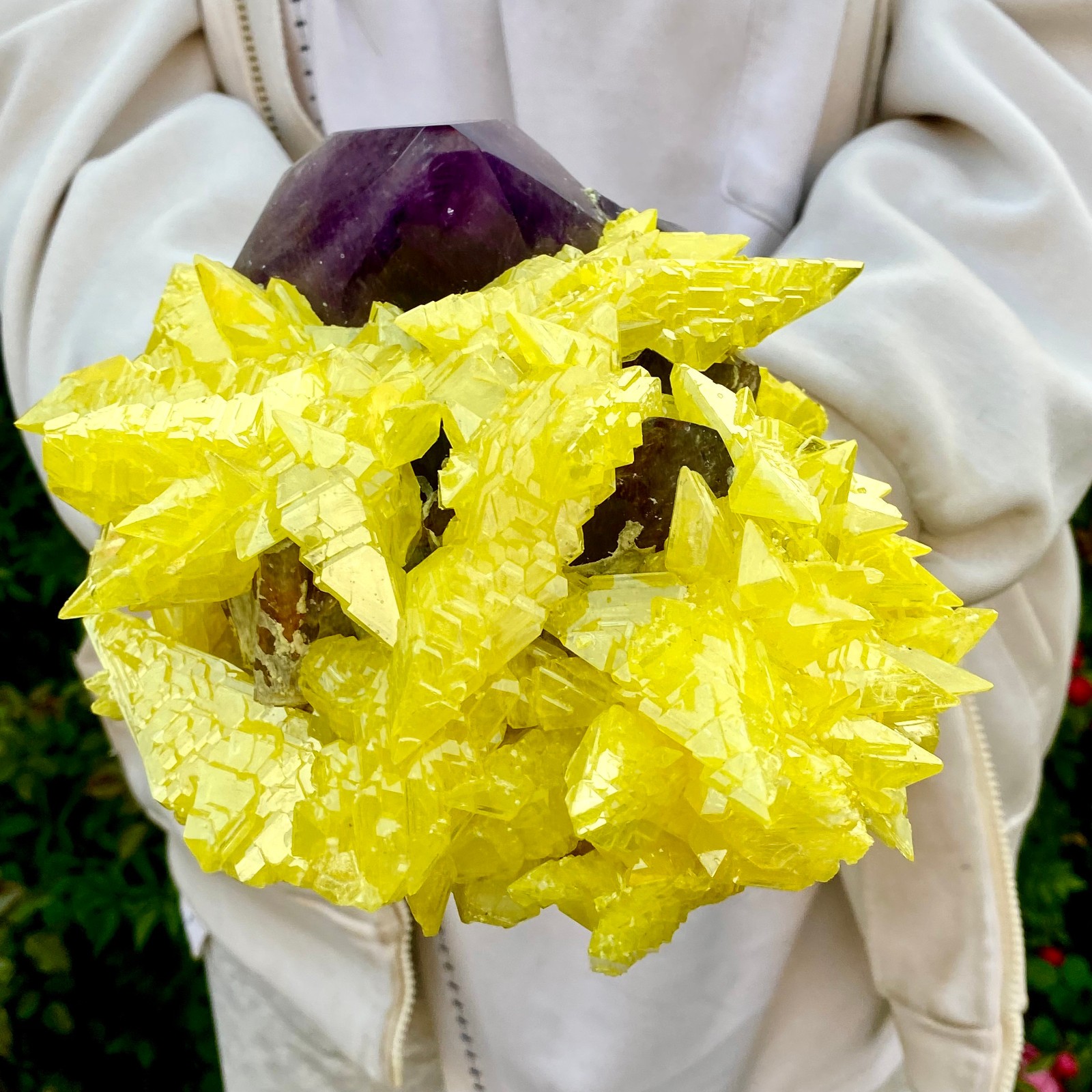 10LB Natural Amethyst & Sulphur Symbiotic Crystal Cluster Specimen