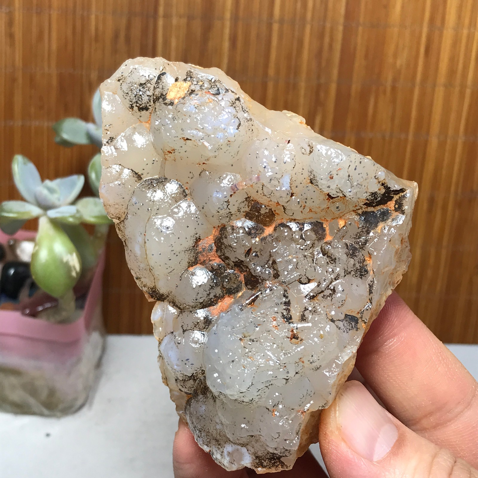 Natural Bonsai Suiseki Gobi Agate Eyes Stone-Stunning original View 146g A2830