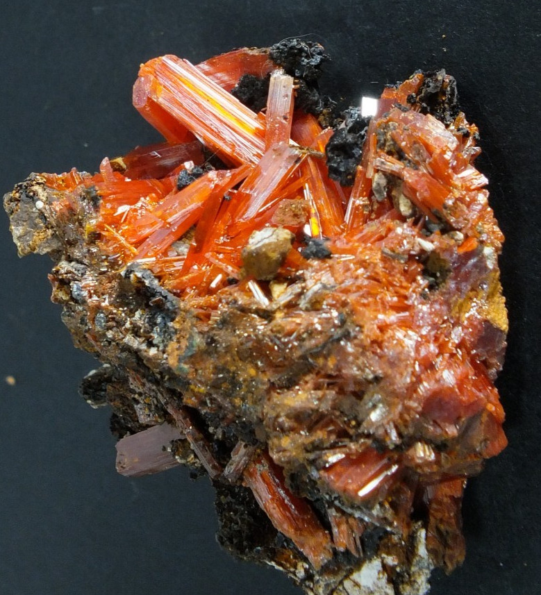 Crocoite Crystals. Adelaide Mine Dundas. Tasmania Australia (EA12014)