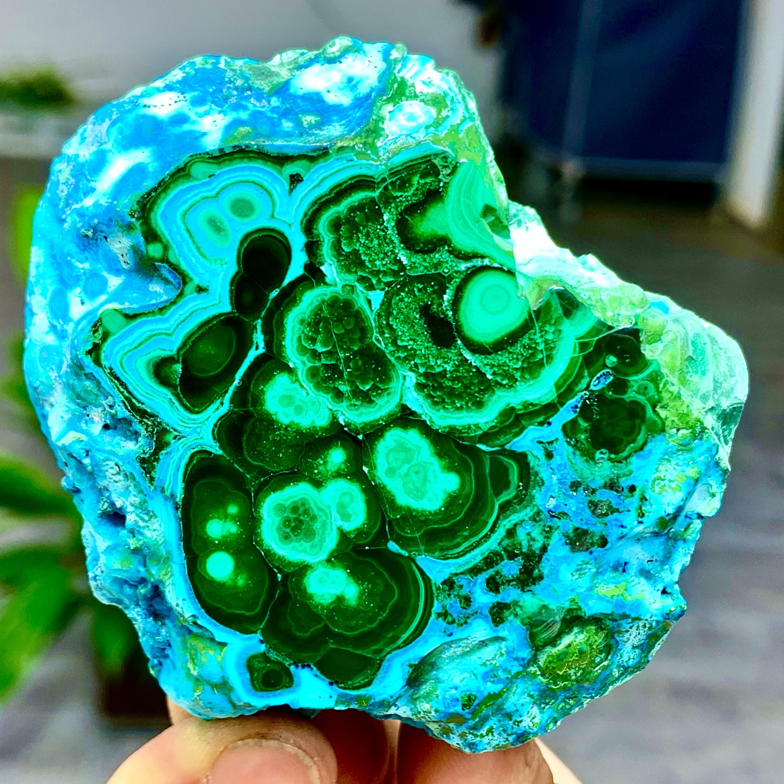 205G Natural Chrysocolla/Malachite transparent cluster rough mineral sample