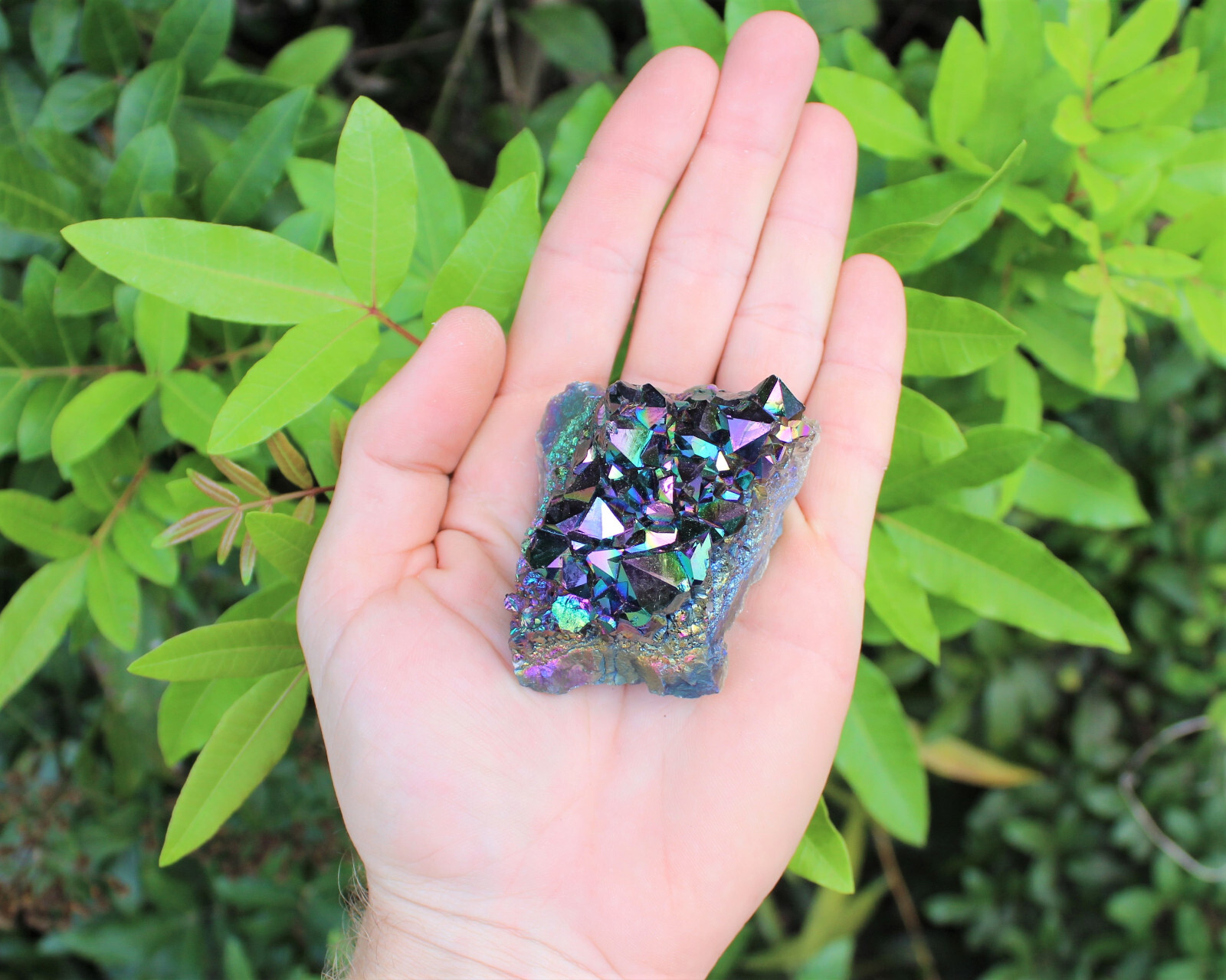 Rainbow Aura Amethyst Clusters: 5-6 Piece Box (Titanium Aura Amethyst Crystals)