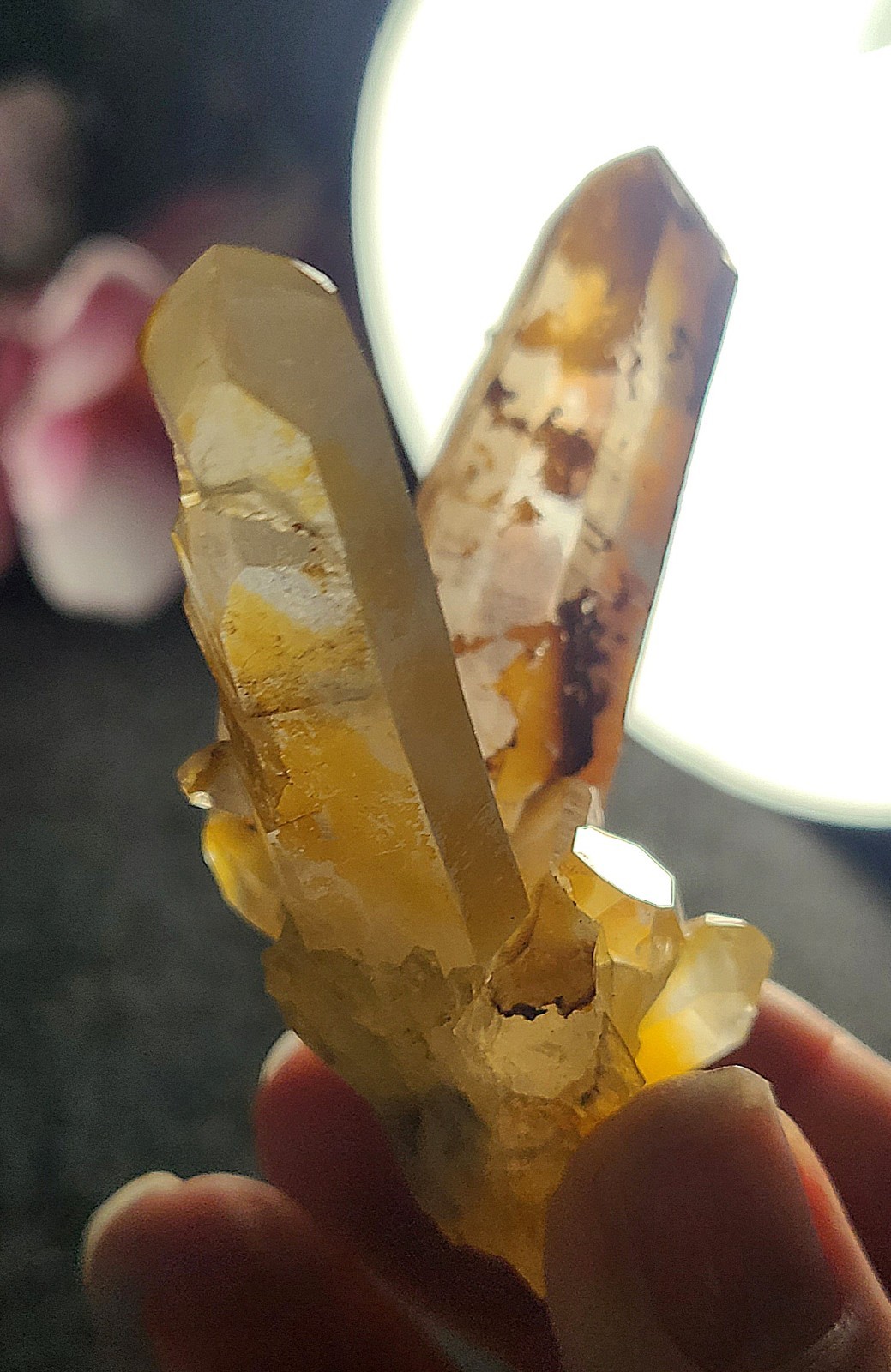 3.4″ 76g Pretty V Shape Golden Healer Quartz Crystal Cluster Stone Specimen