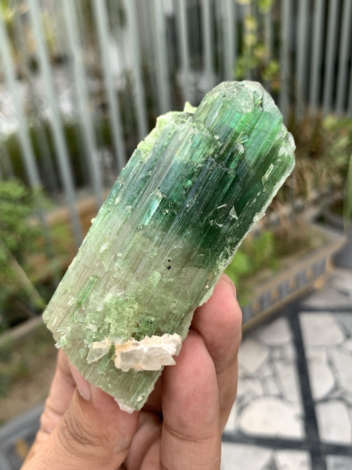 135 Gram Natural Complete Terminations Watermelon Tourmaline Crystal From Afgan