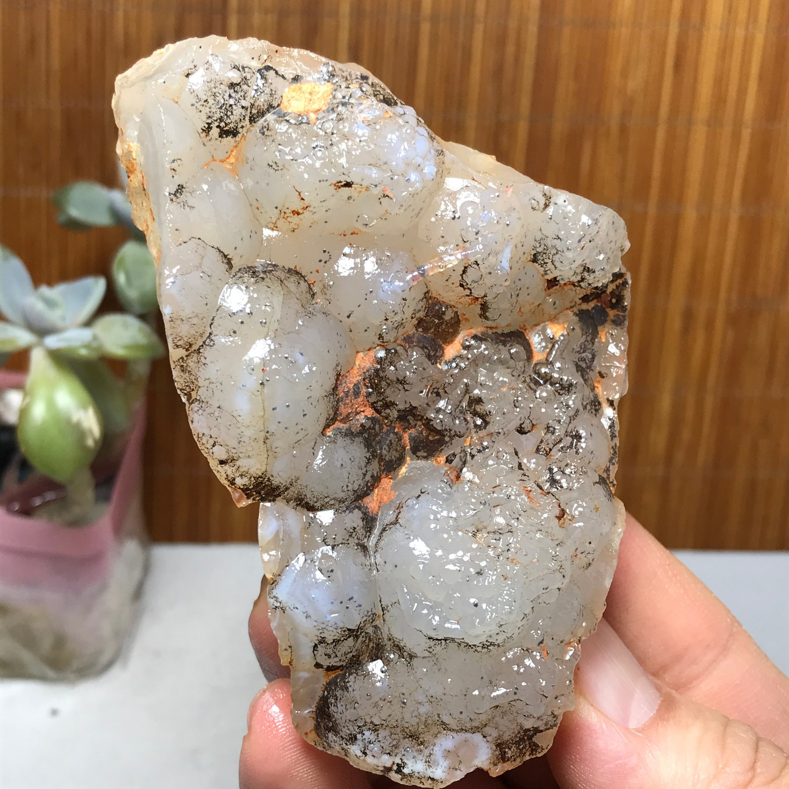 Natural Bonsai Suiseki Gobi Agate Eyes Stone-Stunning original View 146g A2830