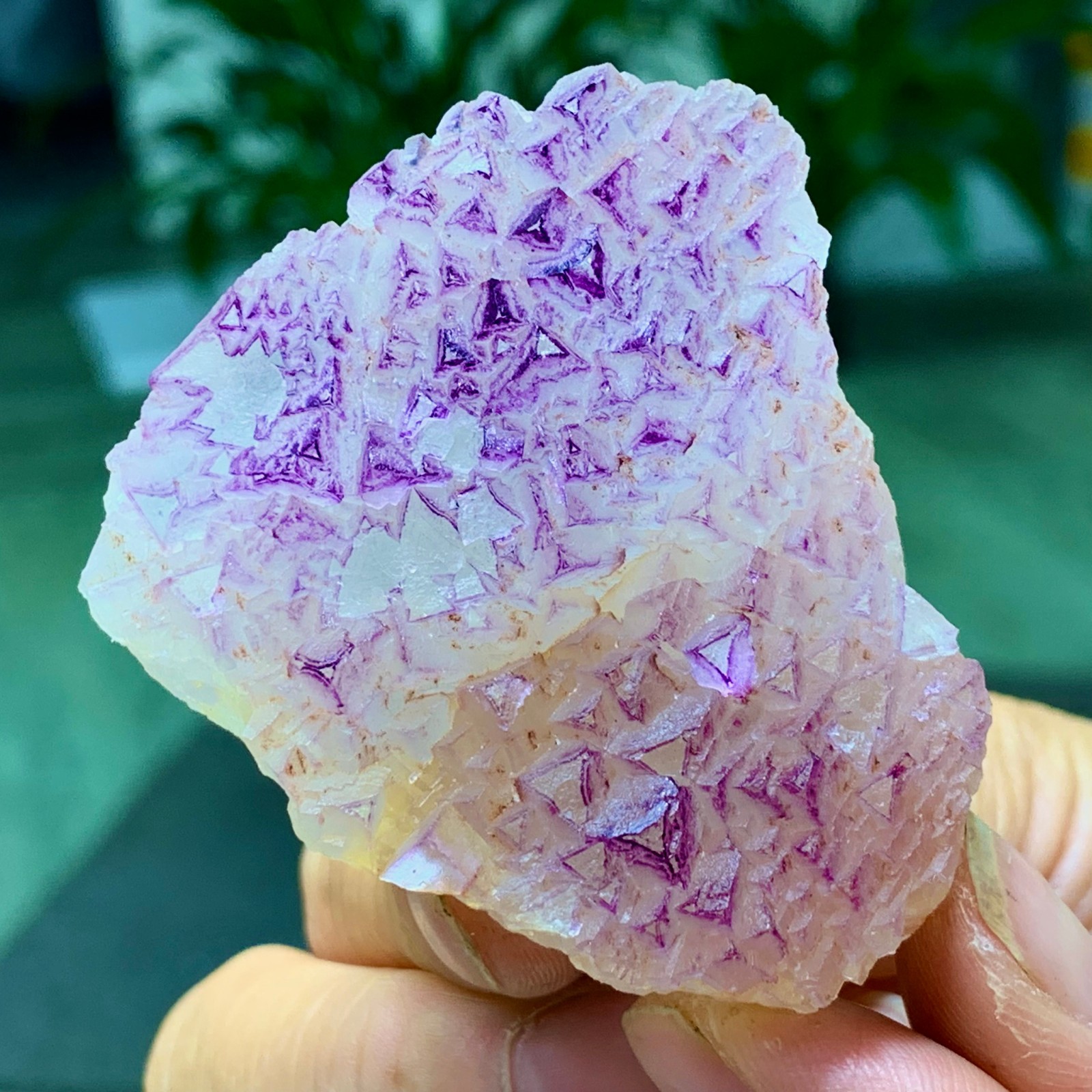 100G Natural fluorite purple edged cubic crystal mineral sample