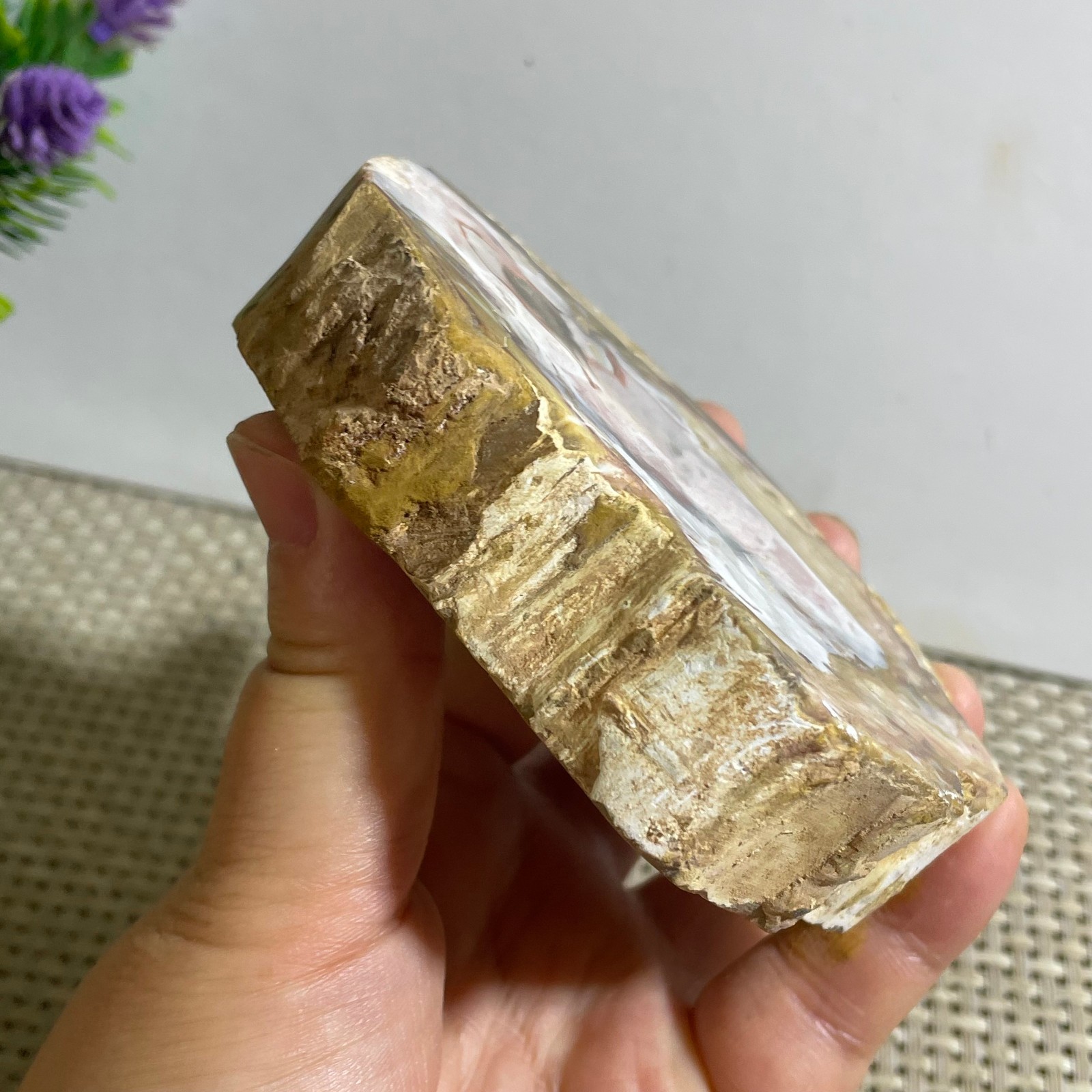 Natural Polished Petrified Wood Crystal Slice Madagascar 302g