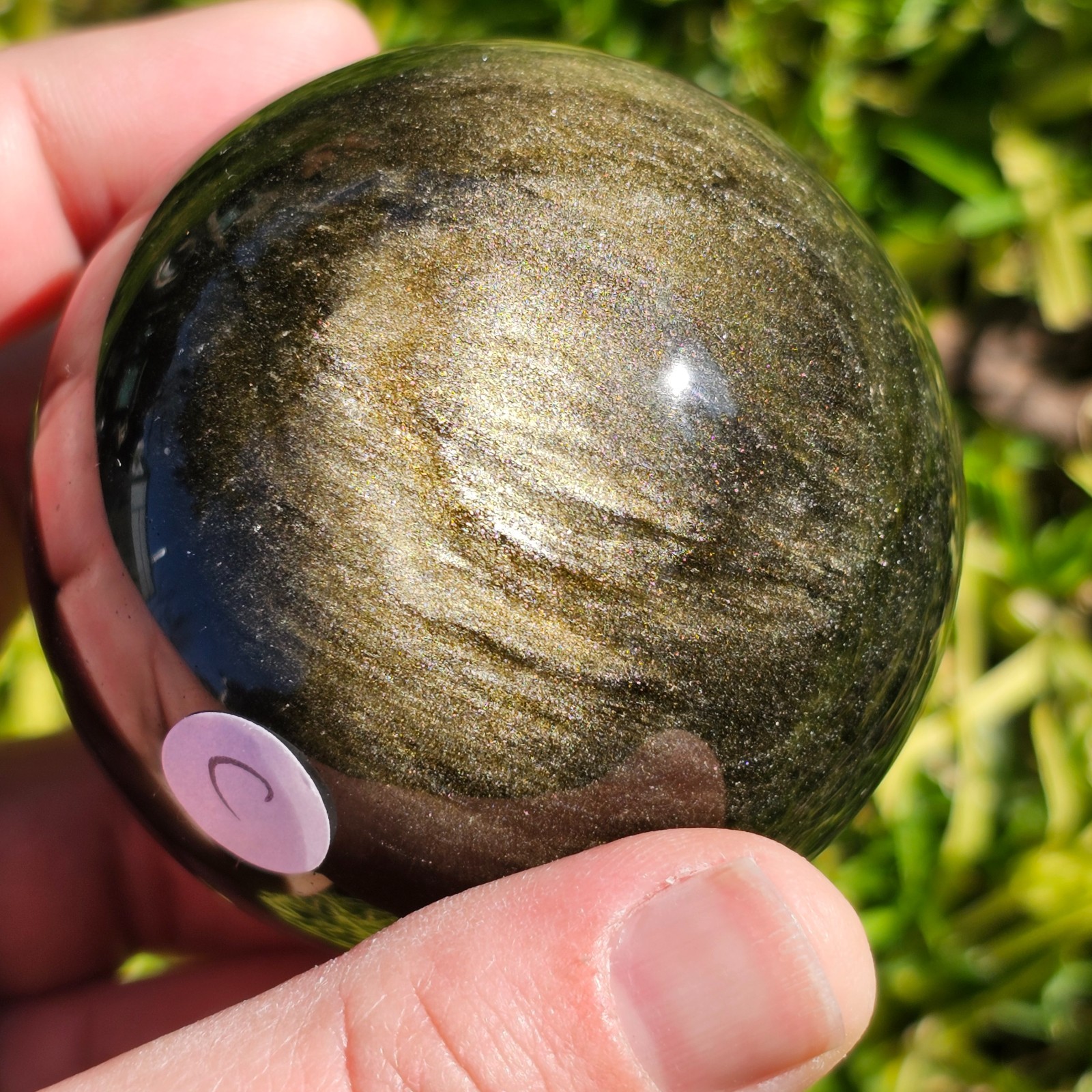 Gold Sheen Obsidian Sphere | Option C | 305g