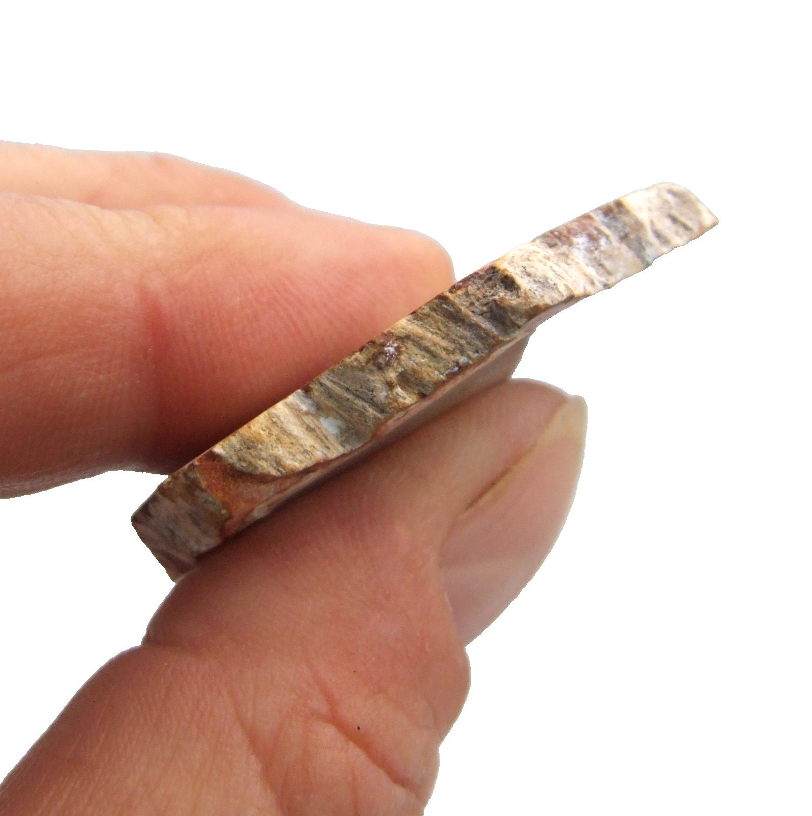 Fossil Petrified Wood Slice Madagascar Polished 4cm x 3.5cm 12g
