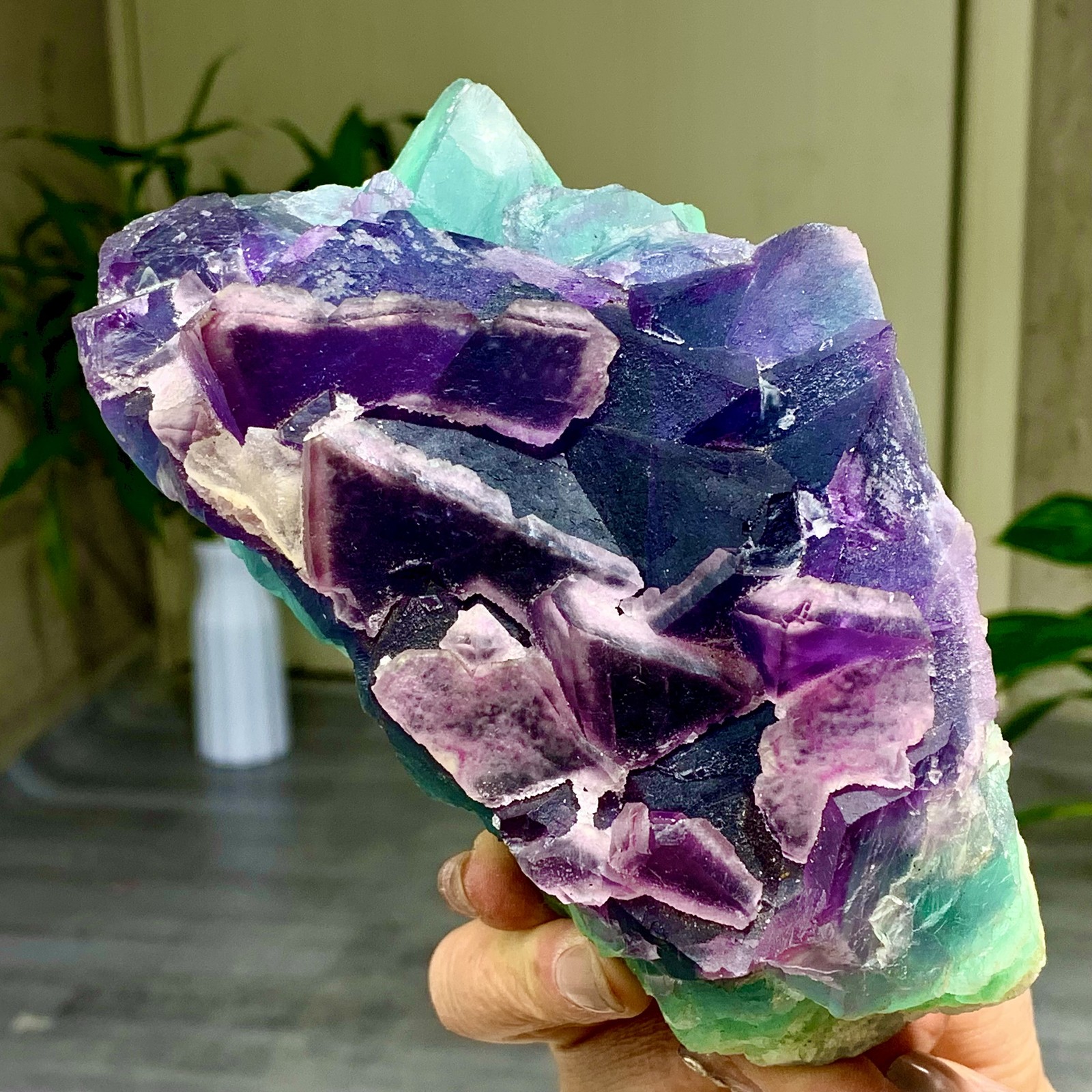 3.49LB Rare transparent purple-green cubic fluorite mineral crystal sample/China