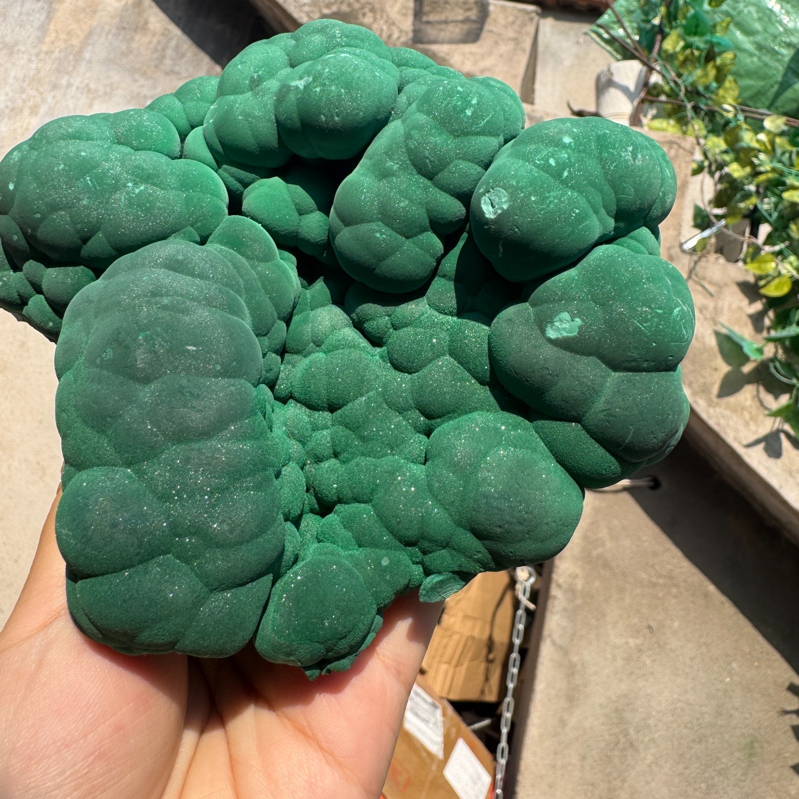 1180G Natural Malachite crystal quartz Mineral Specimen Reiki congo