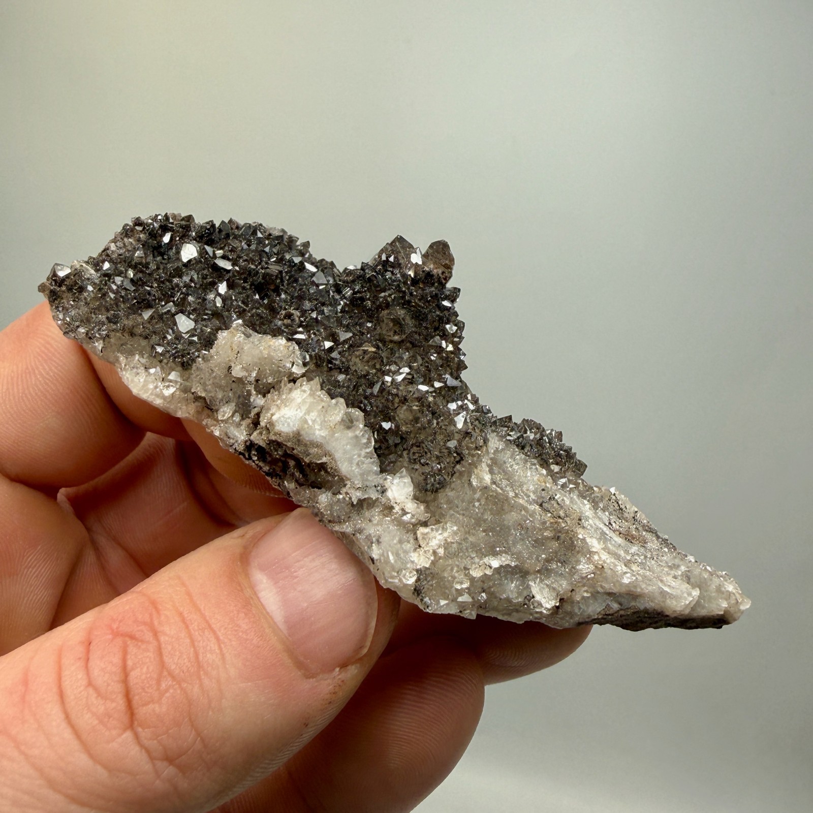 Black Druze with Hydrocarbon Phantom Percher Herkimer Diamonds, Rare Matrix!