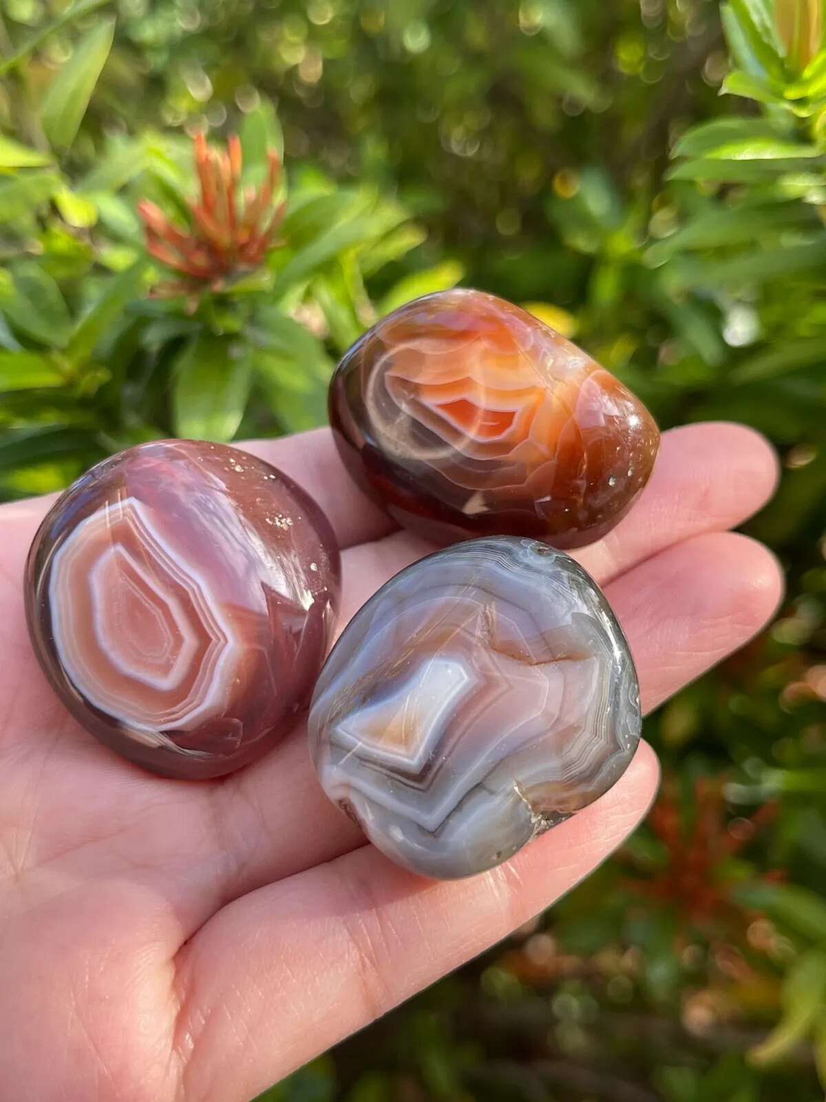 Grade A++ Botswana Agate Pebble, Botswana Agate Palm Stones, Wholesale Bulk Lot