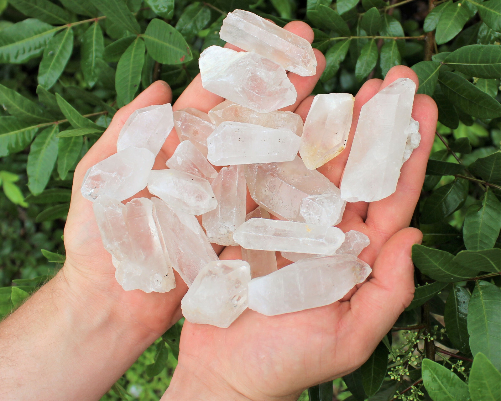 Wholesale CLEARANCE Bulk Lot 1 lb Rough Natural Quartz Crystal Points 16 oz