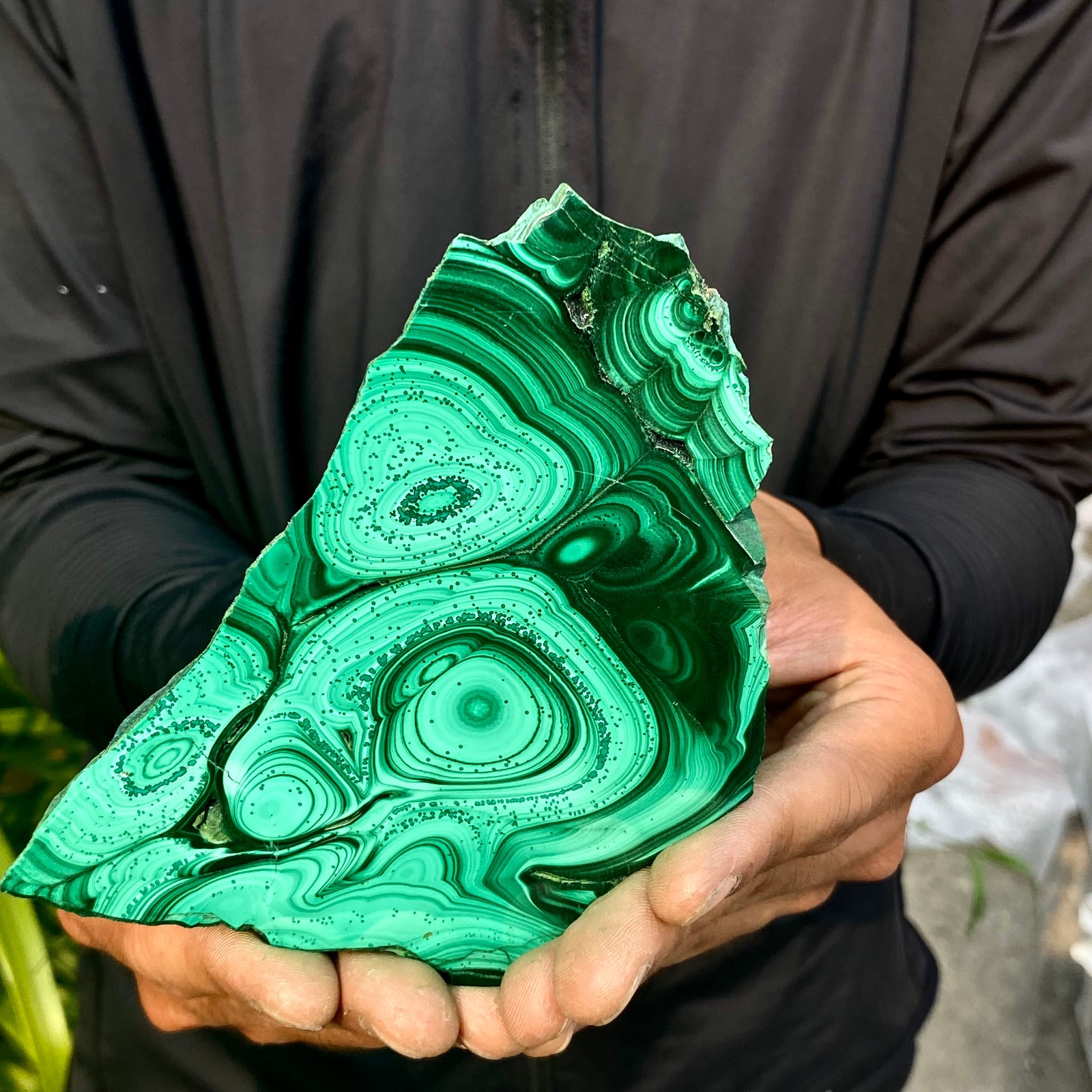 1.1LB Natural malachite slice quartz crystal luster mineral specimen