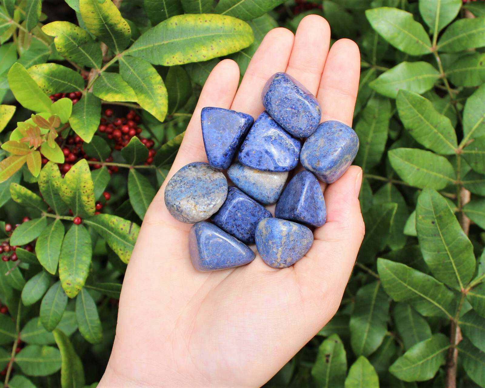 Dumortierite 3 Medium / Large Tumbled Stones Crystal Healing Gemstone