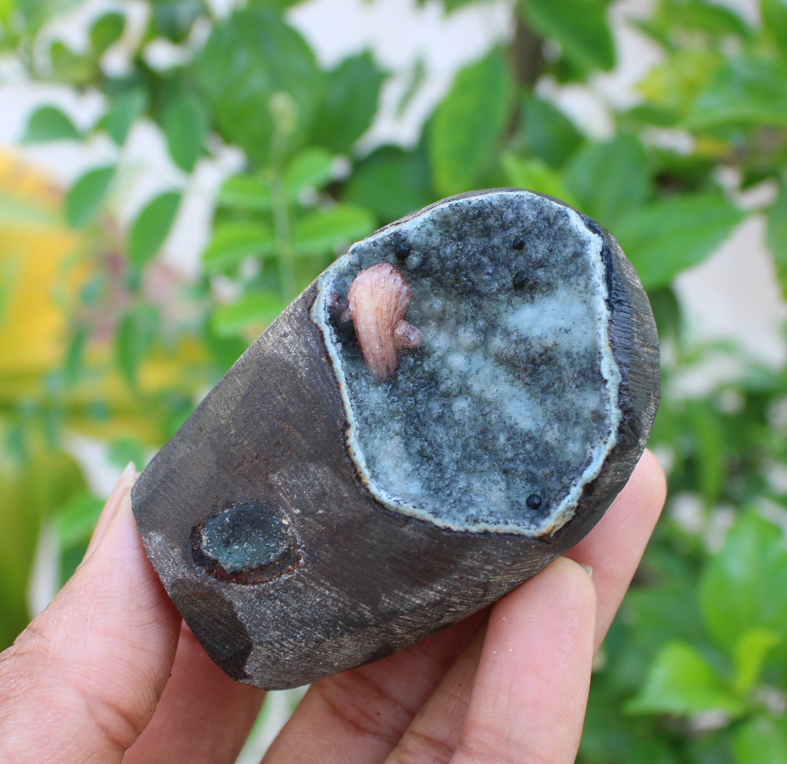 stilbite in chalcedony coral geode minerals specimen #A43